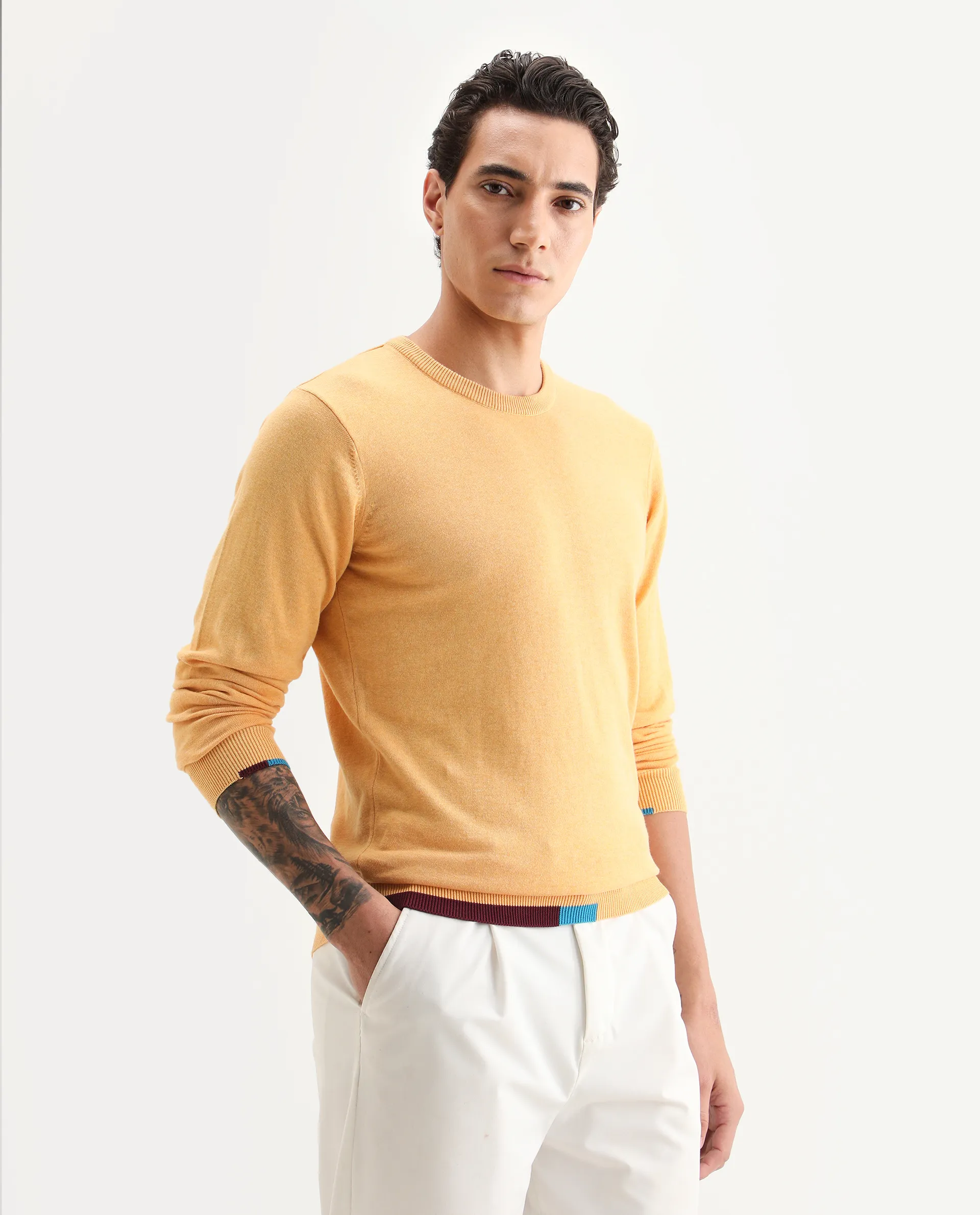Rare Rabbit Men's Jody Yellow Cotton Plain Slim Fit Full Sleeve Crew Neck Sweater - Image 6