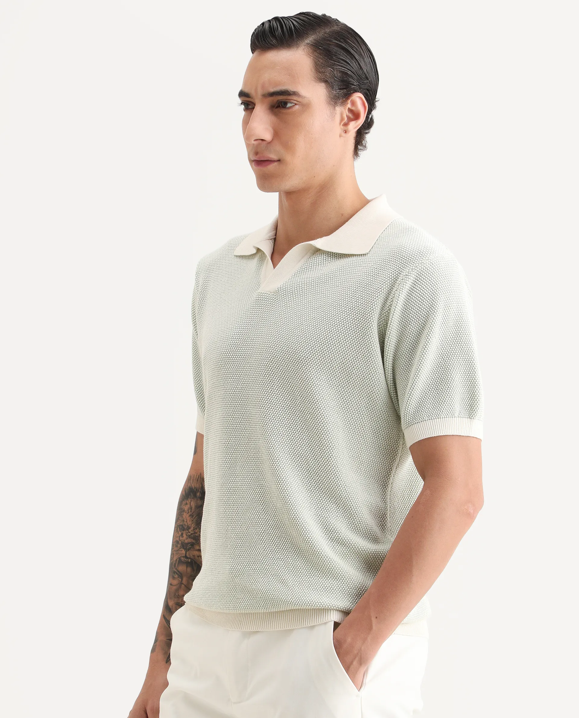 Rare Rabbit Men's Jordan Pastel Green Cotton Fabric Full Sleeve Regular Fit Textured Polo - Image 5
