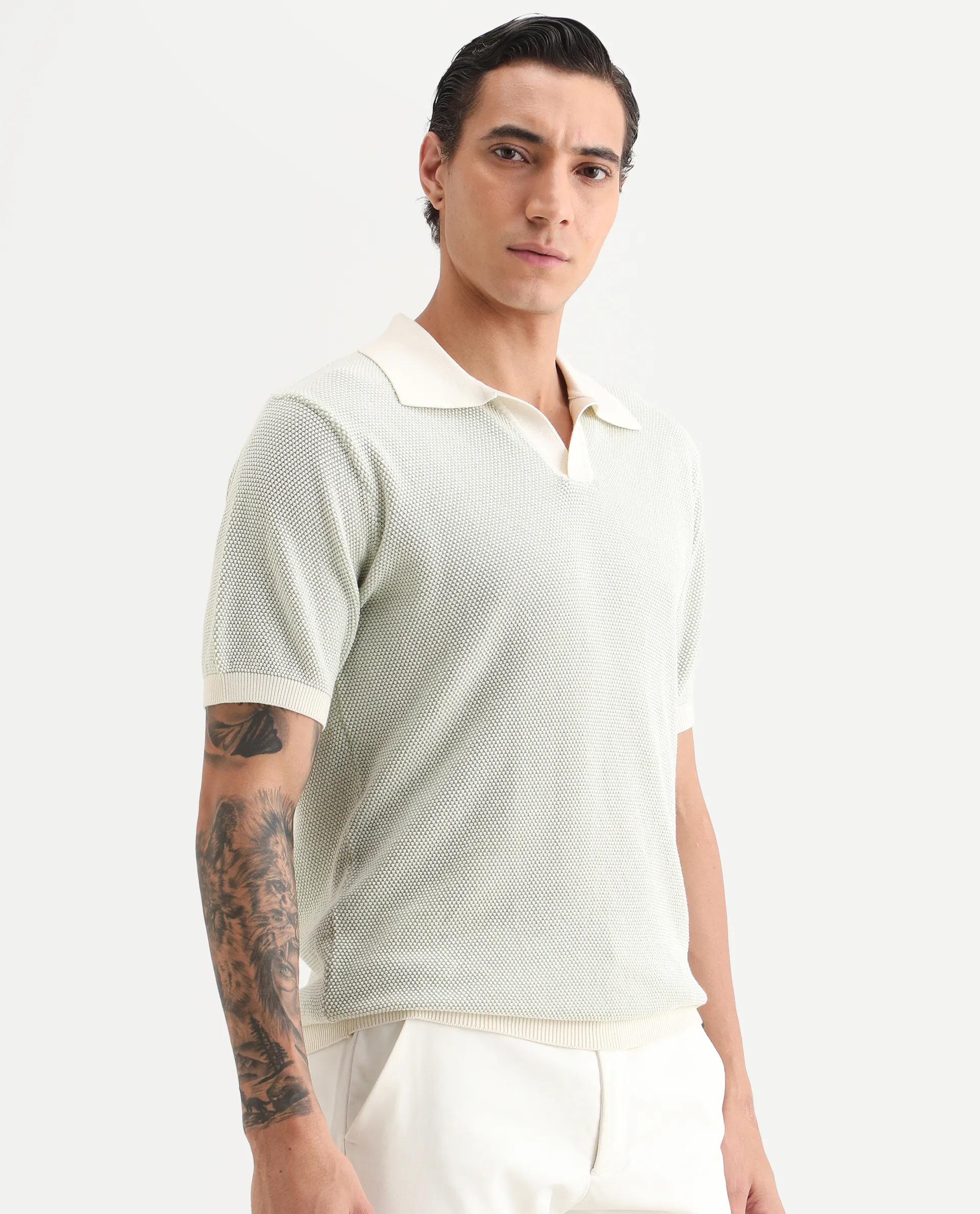Rare Rabbit Men's Jordan Pastel Green Cotton Fabric Full Sleeve Regular Fit Textured Polo - Image 6