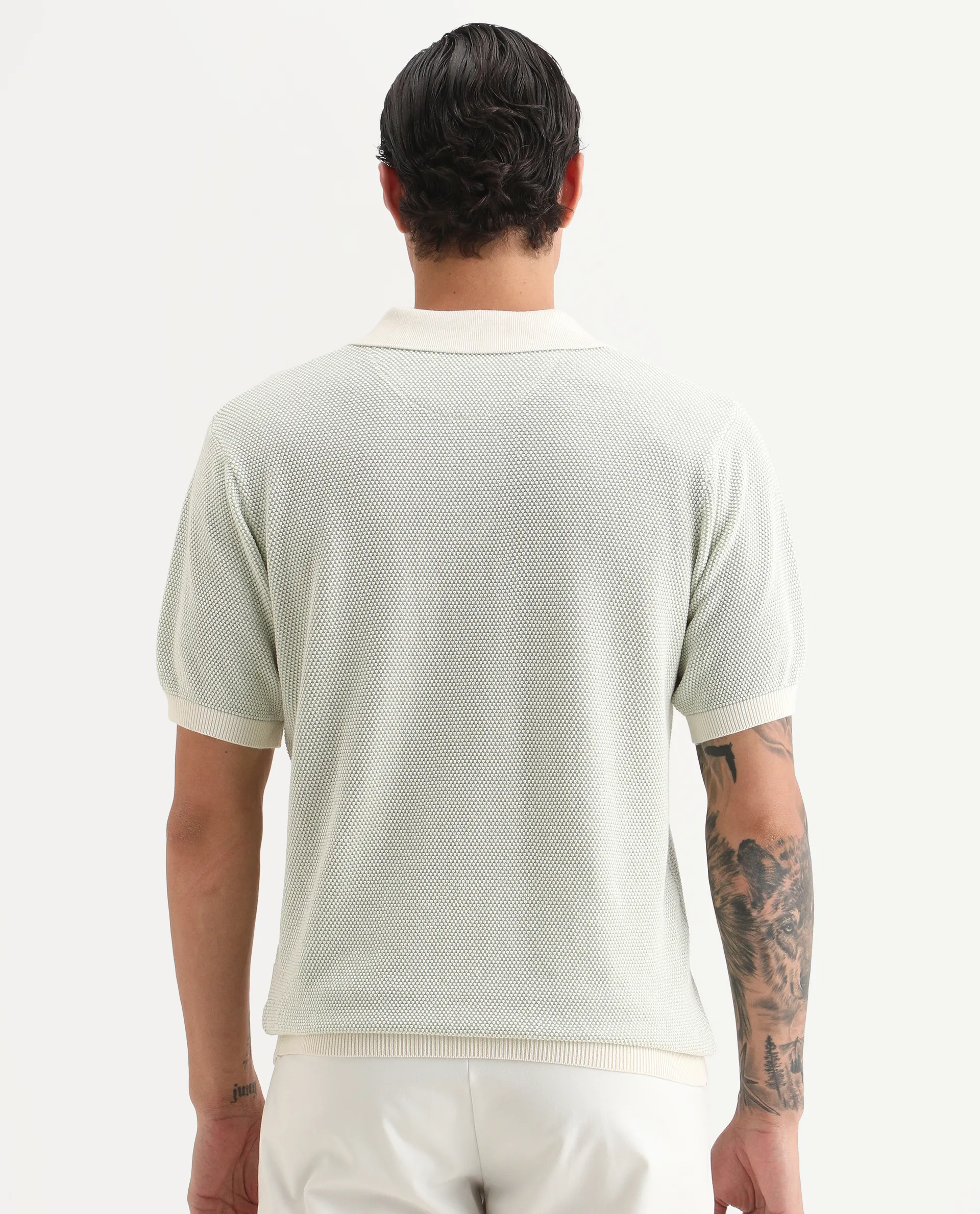 Rare Rabbit Men's Jordan Pastel Green Cotton Fabric Full Sleeve Regular Fit Textured Polo - Image 7
