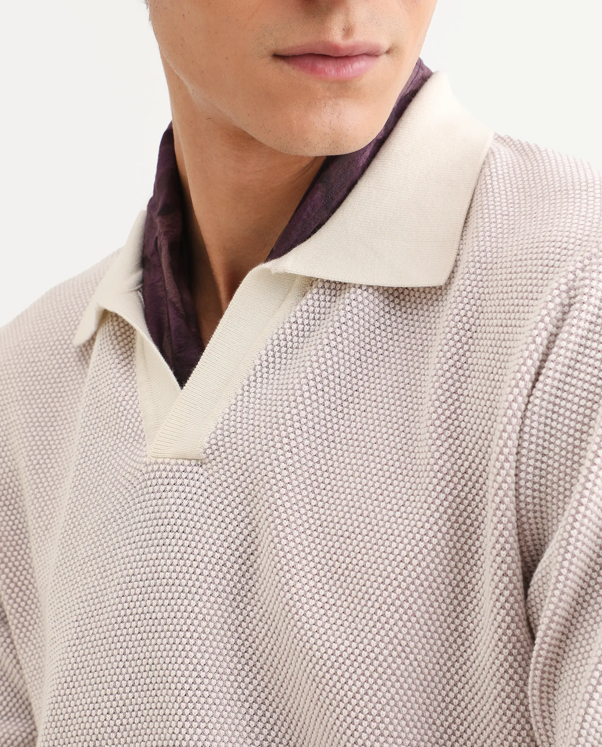 Rare Rabbit Men's Jordan Pastel Purple Cotton Fabric Full Sleeve Regular Fit Textured Polo - Image 6