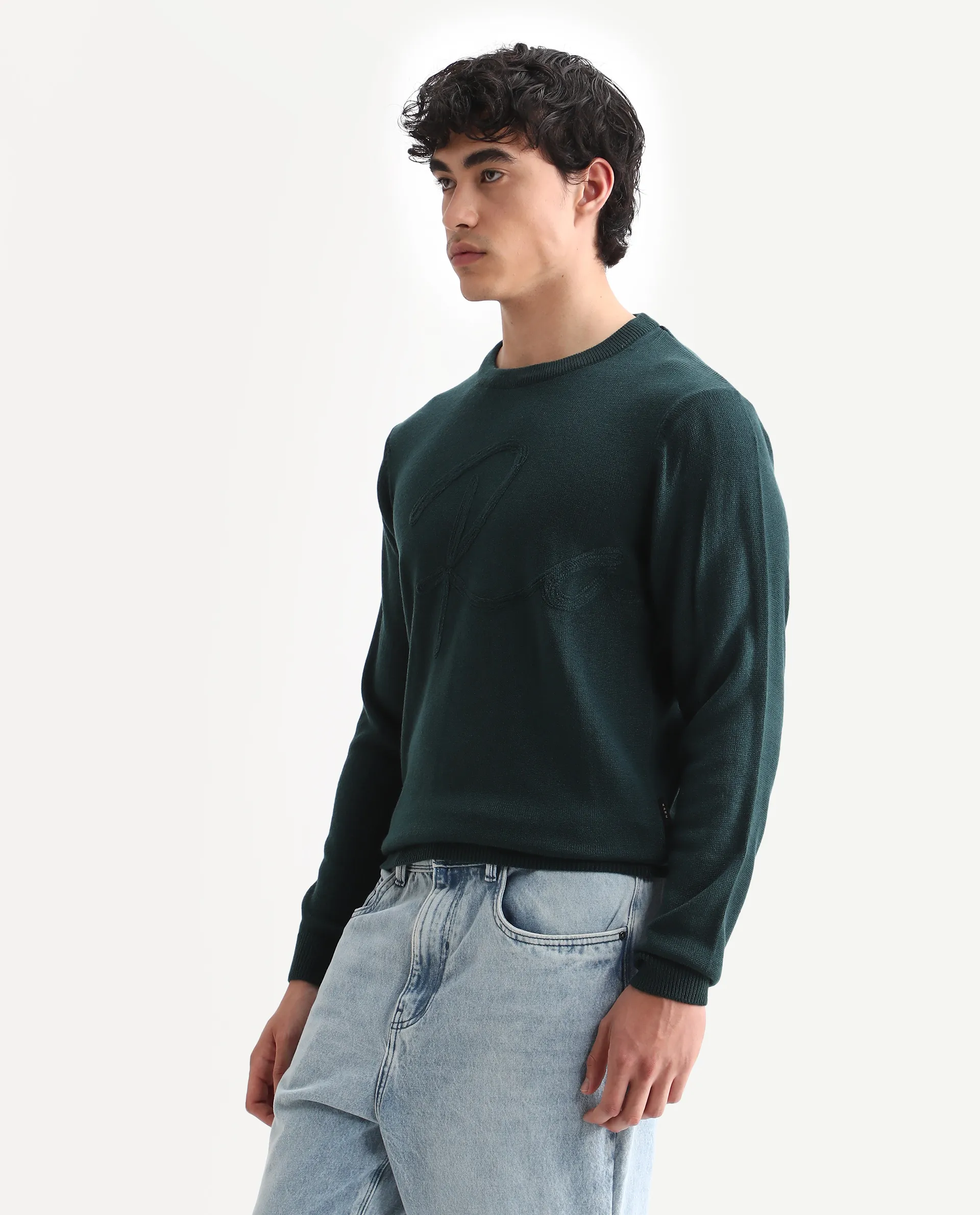 Rare Rabbit Men's Jupiter Teal Acrylic Embroidered Regular Fit Full Sleeve Crew Neck Sweater - Image 6