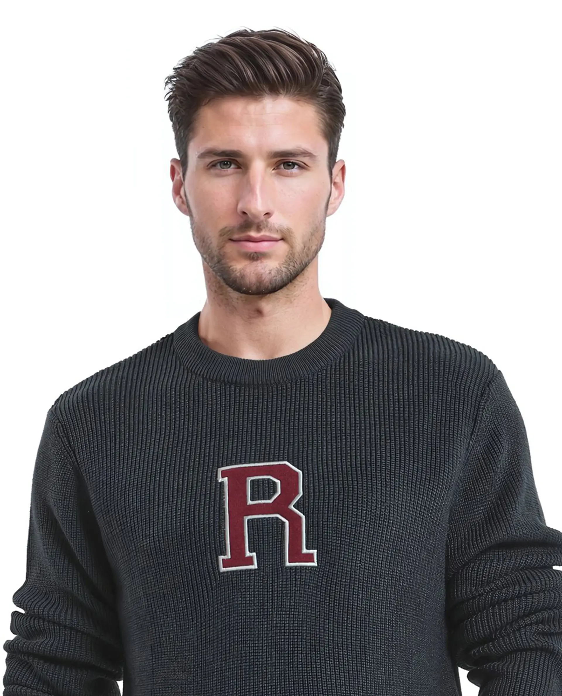 Rare Rabbit Men's Kazu Navy Cotton Applique Print Regular Fit Full Sleeve Crew Neck Sweater - Image 2