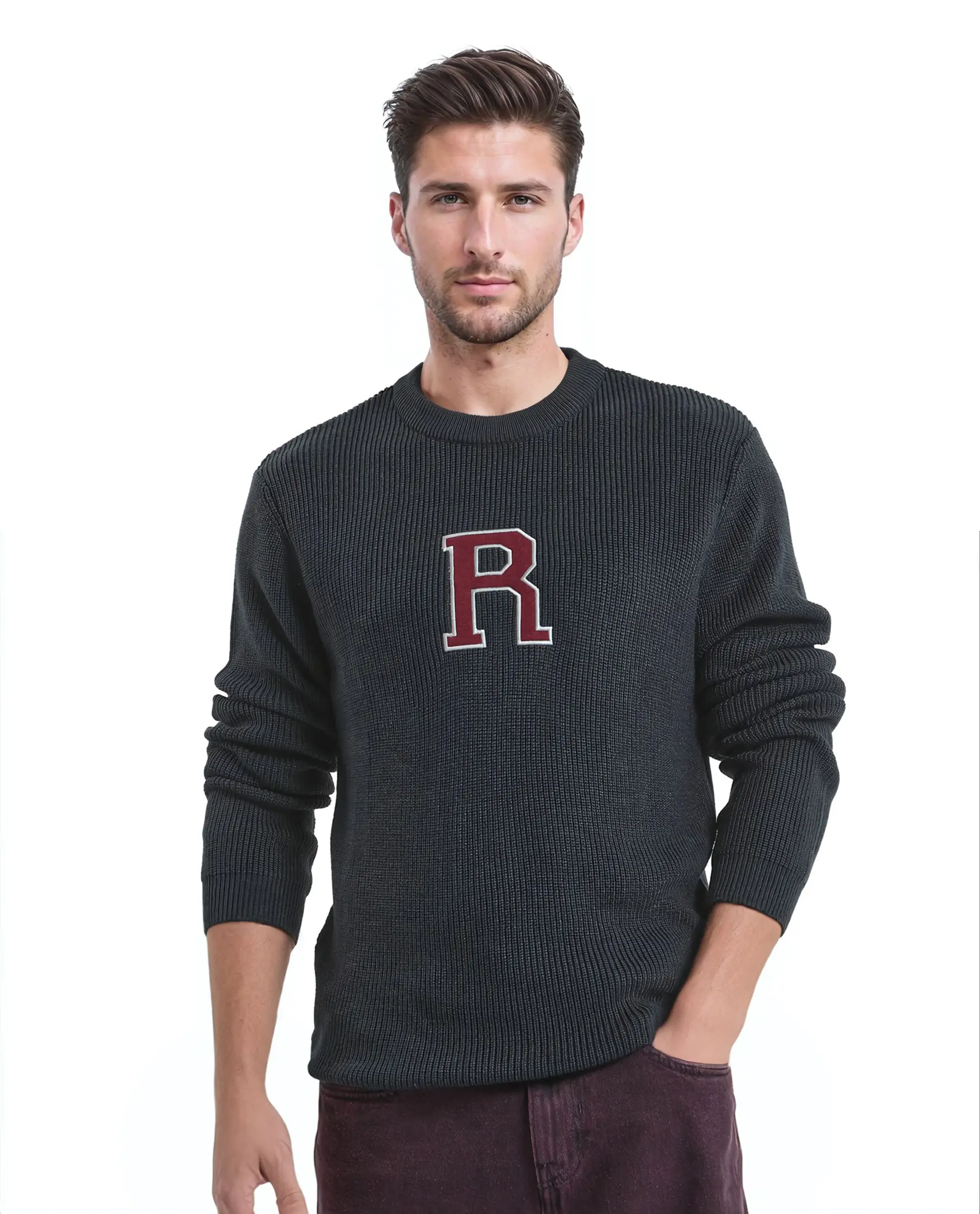 Rare Rabbit Men's Kazu Navy Cotton Applique Print Regular Fit Full Sleeve Crew Neck Sweater - Image 3