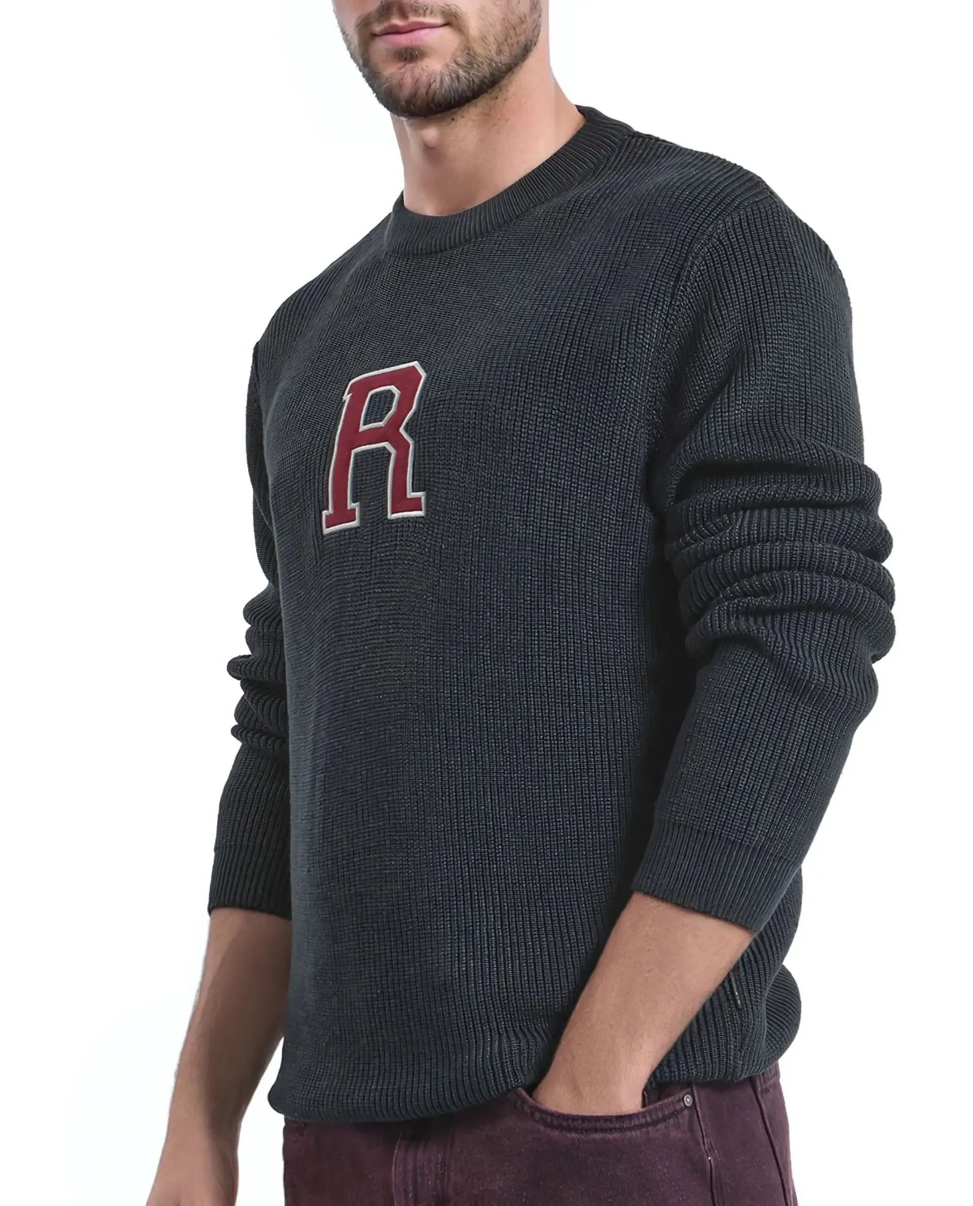 Rare Rabbit Men's Kazu Navy Cotton Applique Print Regular Fit Full Sleeve Crew Neck Sweater - Image 5