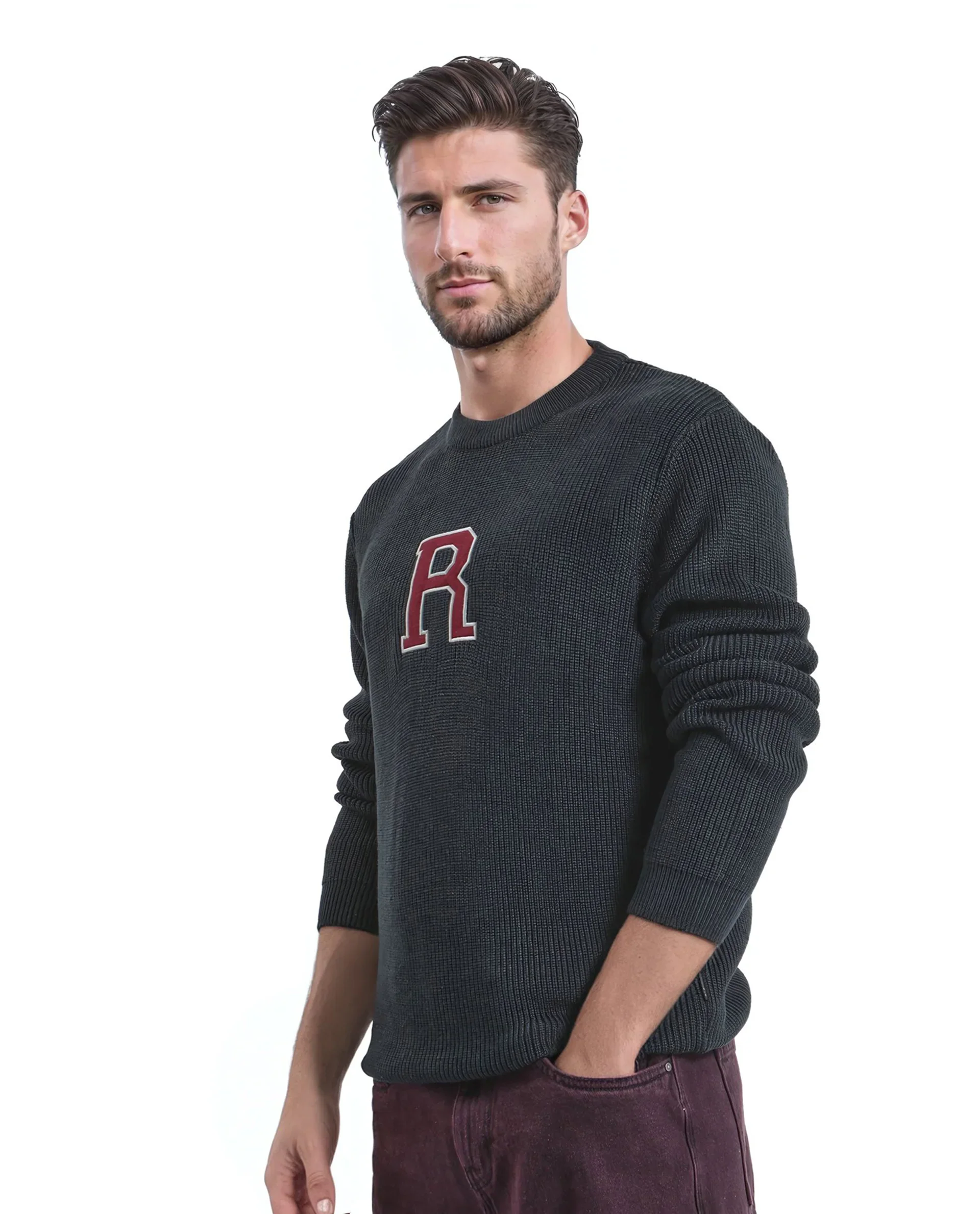 Rare Rabbit Men's Kazu Navy Cotton Applique Print Regular Fit Full Sleeve Crew Neck Sweater - Image 6