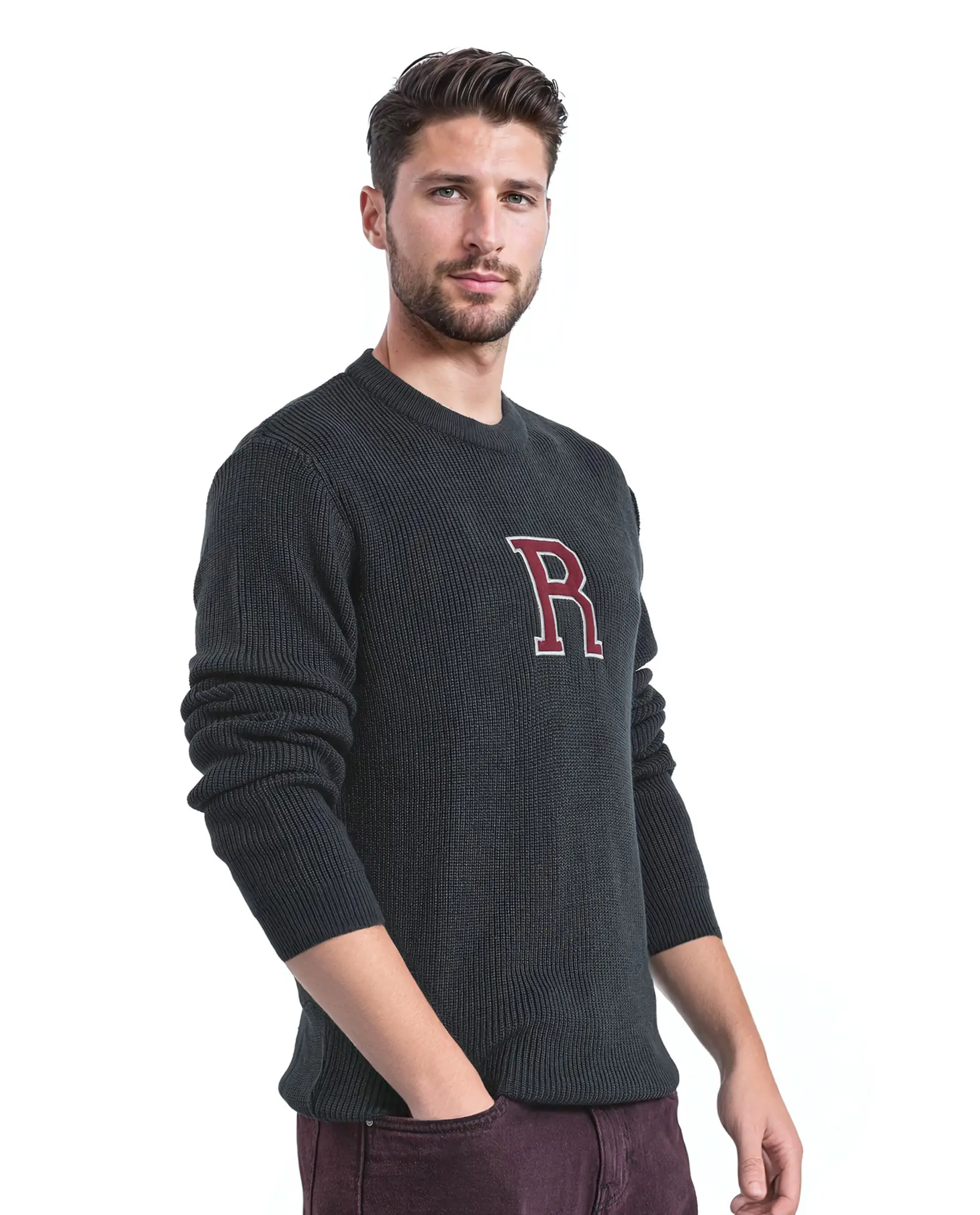 Rare Rabbit Men's Kazu Navy Cotton Applique Print Regular Fit Full Sleeve Crew Neck Sweater - Image 7