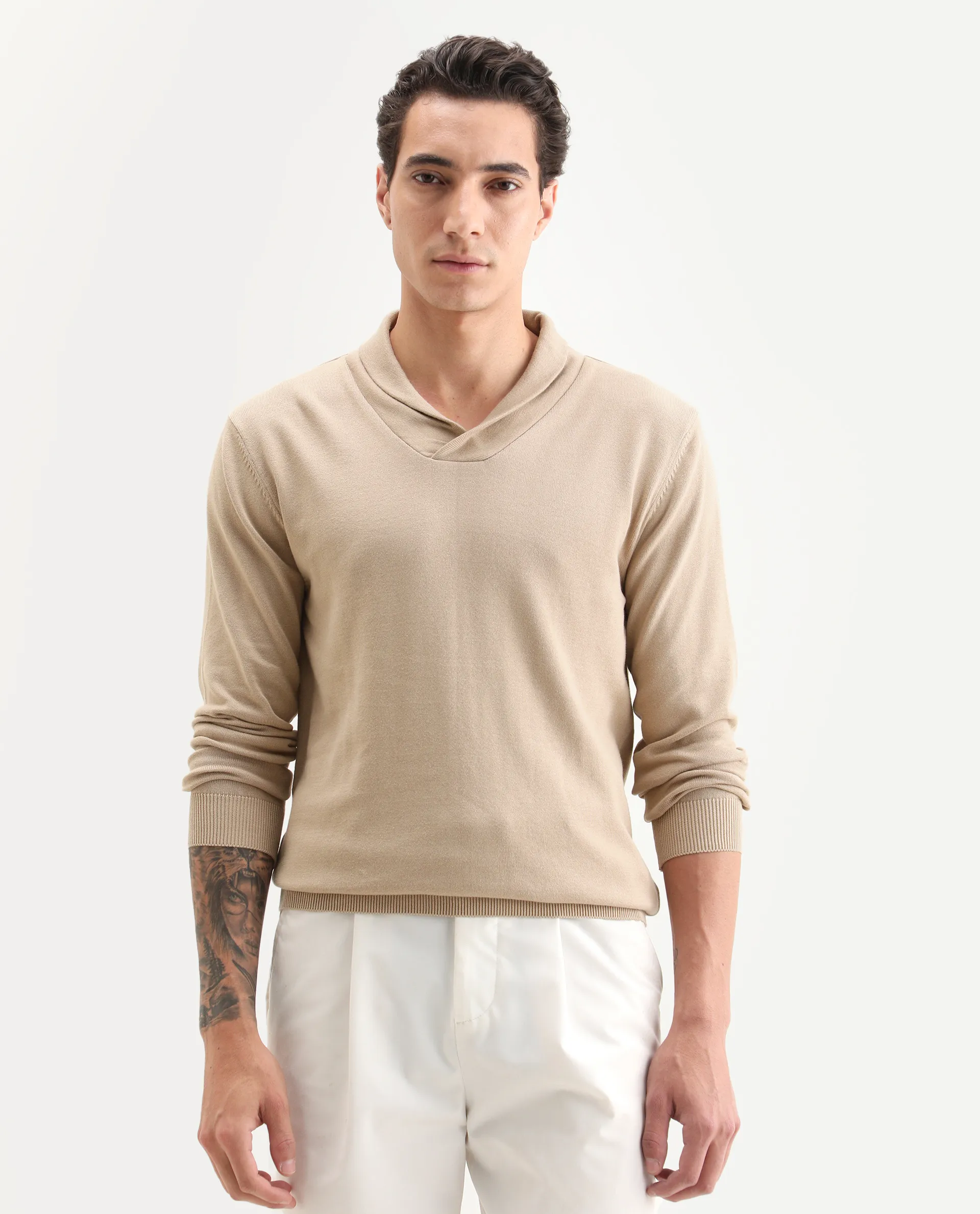 Rare Rabbit Men's Kenlay Beige Cotton Blend Plain Regular Fit Full Sleeve High Neck Sweater - Image 3