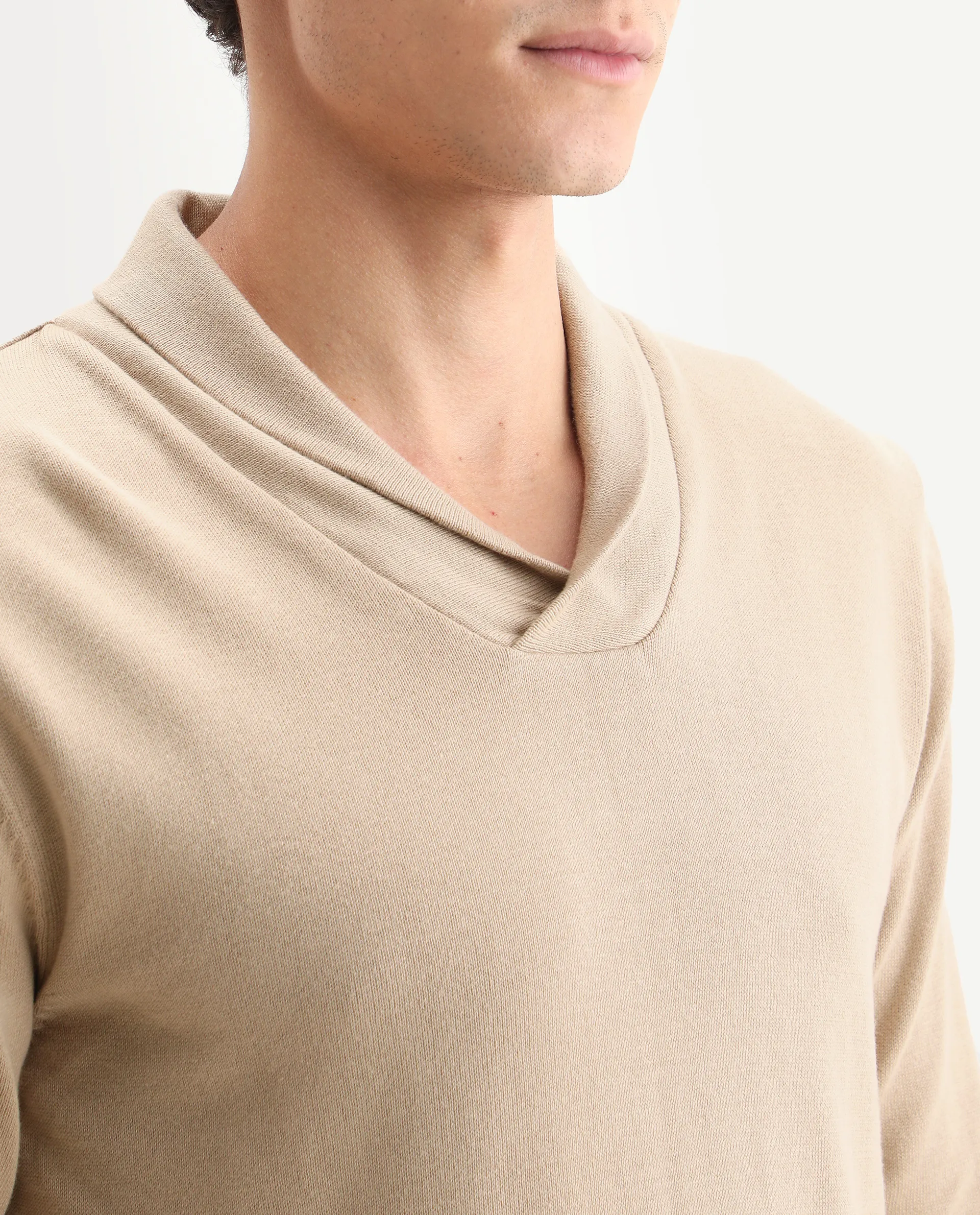 Rare Rabbit Men's Kenlay Beige Cotton Blend Plain Regular Fit Full Sleeve High Neck Sweater - Image 4