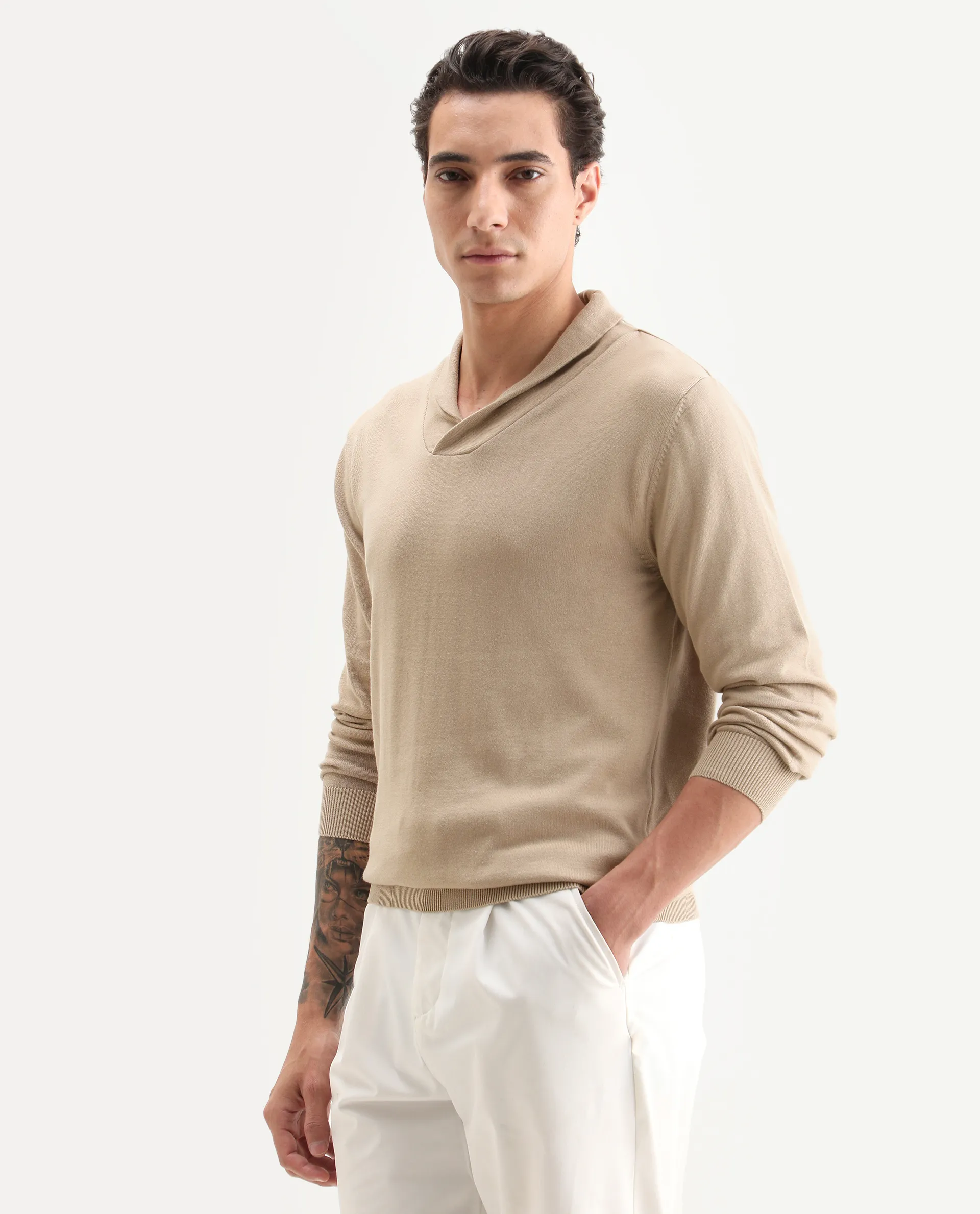 Rare Rabbit Men's Kenlay Beige Cotton Blend Plain Regular Fit Full Sleeve High Neck Sweater - Image 5