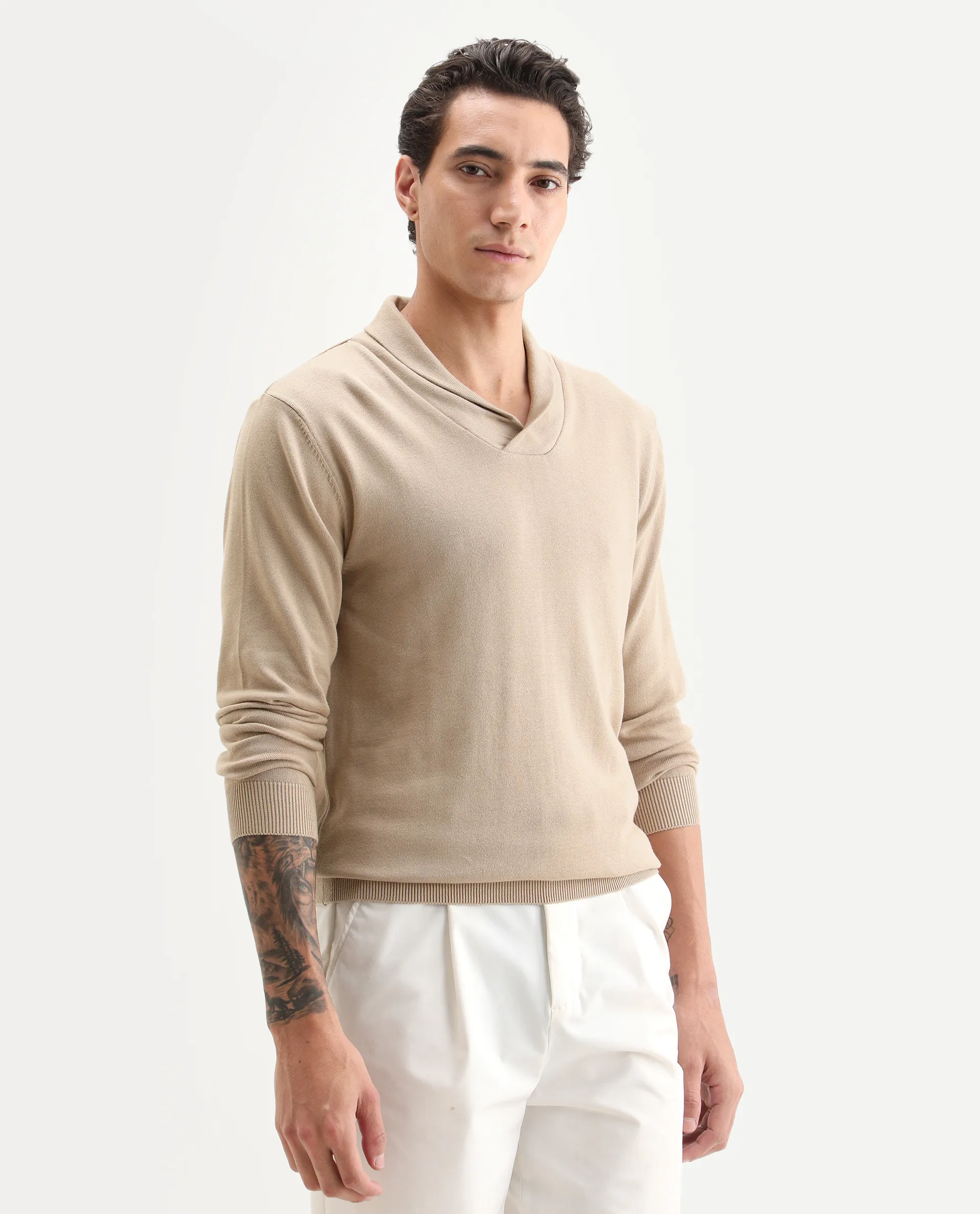 Rare Rabbit Men's Kenlay Beige Cotton Blend Plain Regular Fit Full Sleeve High Neck Sweater - Image 6