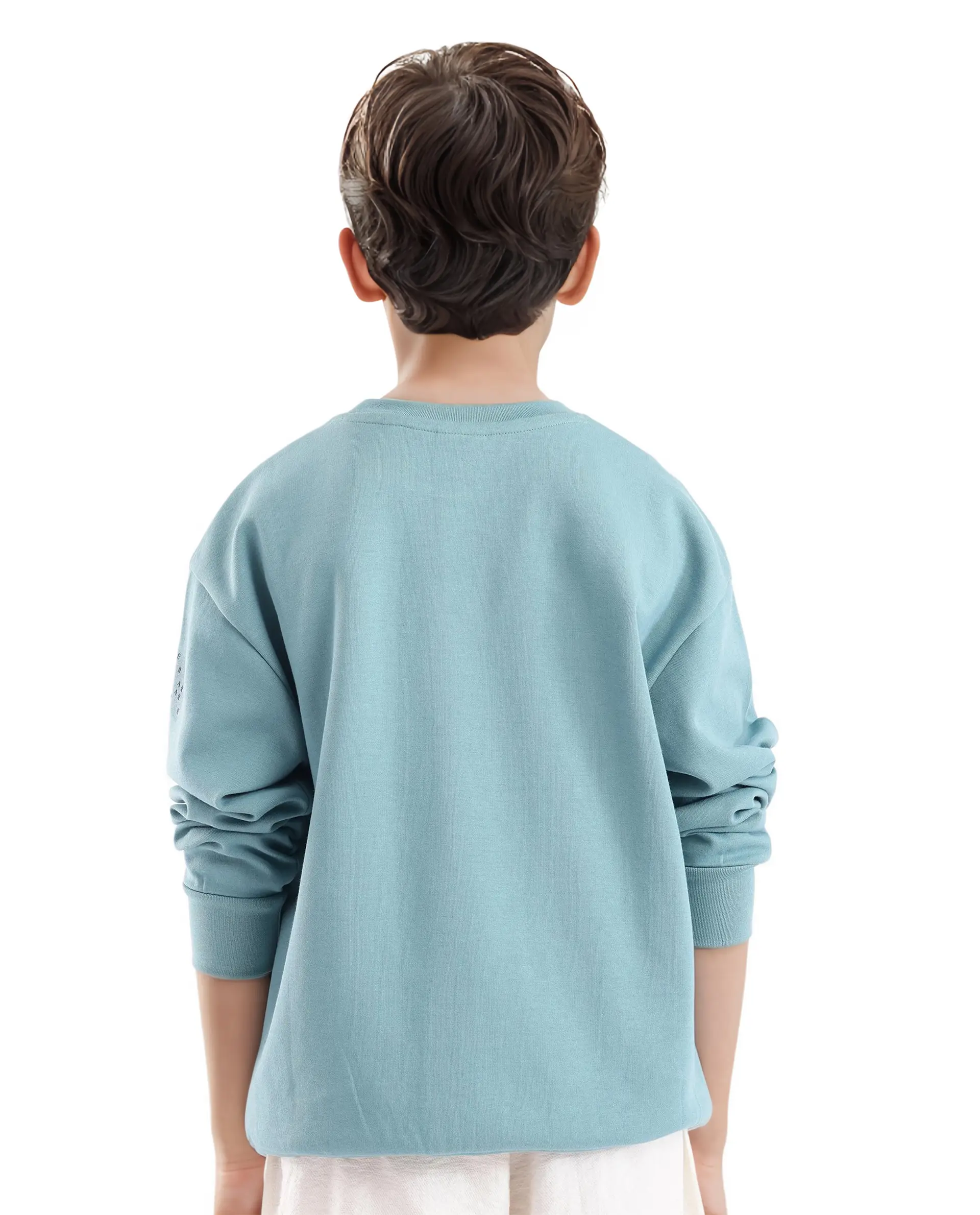 Rare Ones Kids Cramet Turq Cotton Poly Full Sleeve Gel With Hd Print Sweatshirt - Image 9
