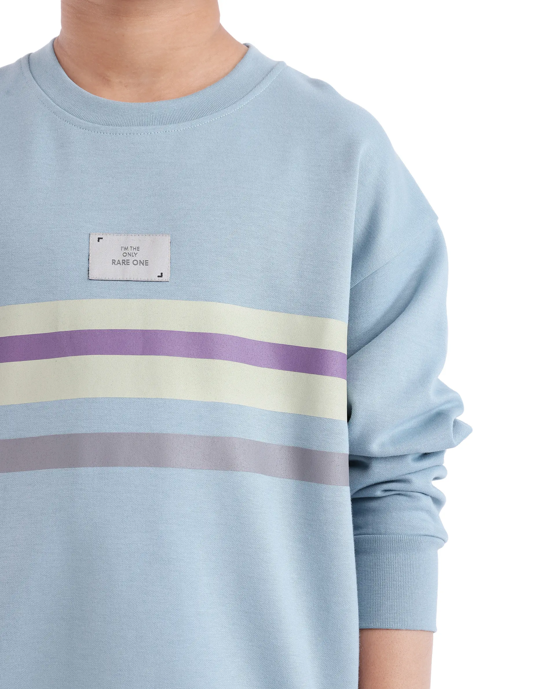 Rare Ones Kids Firo Dusky Blue Cotton Poly Full Sleeve Pigment Print Sweatshirt - Image 8