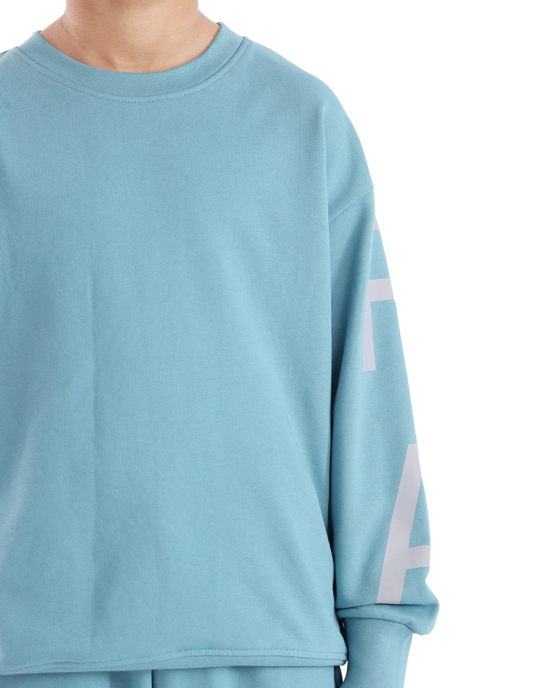 Rare Ones Kids Joen Blue Cotton Poly Full Sleeve Plastisol Print Sweatshirt - Image 5