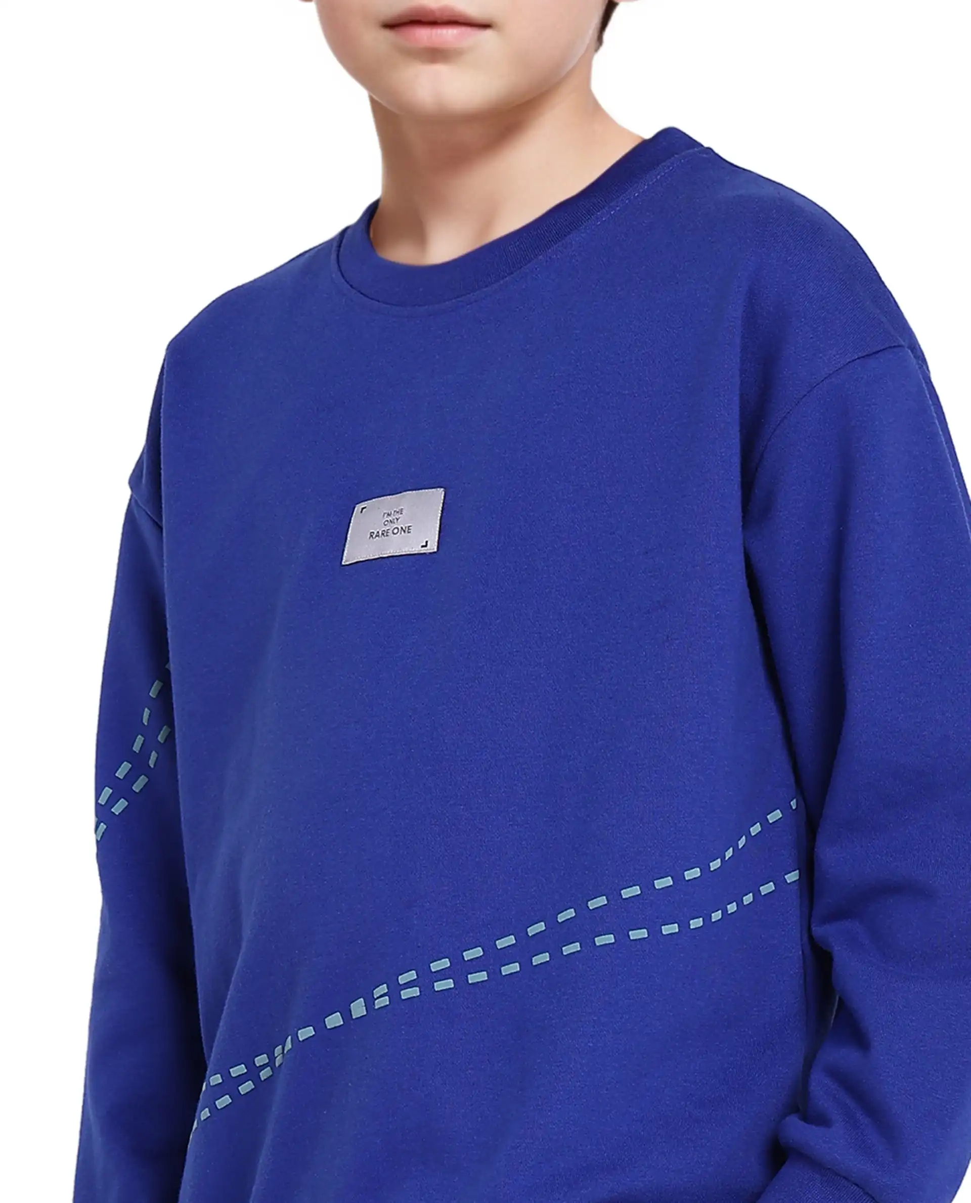 Rare Ones Kids Kole Blue Cotton Poly Full Sleeve Hd Print Sweatshirt - Image 4