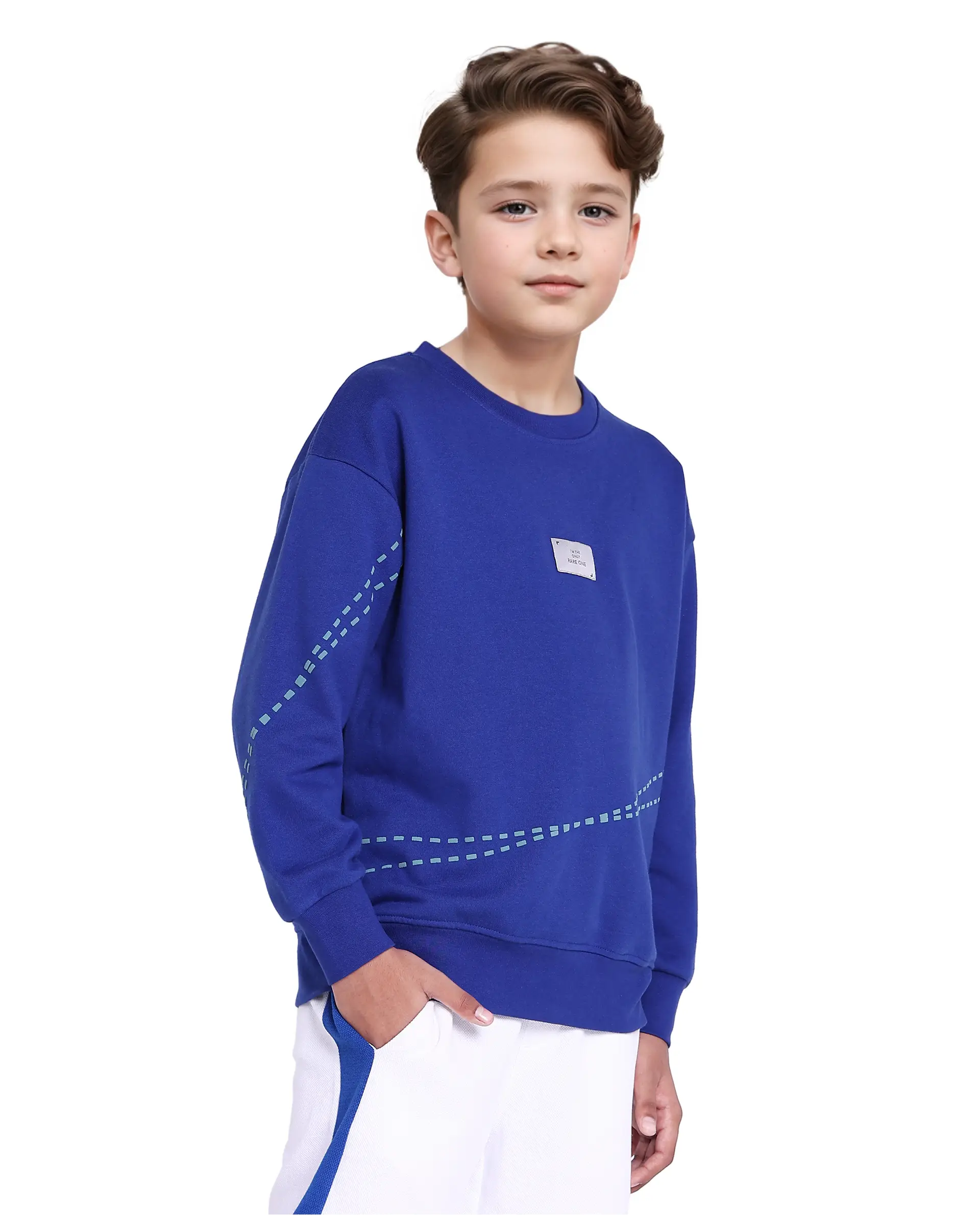 Rare Ones Kids Kole Blue Cotton Poly Full Sleeve Hd Print Sweatshirt - Image 6