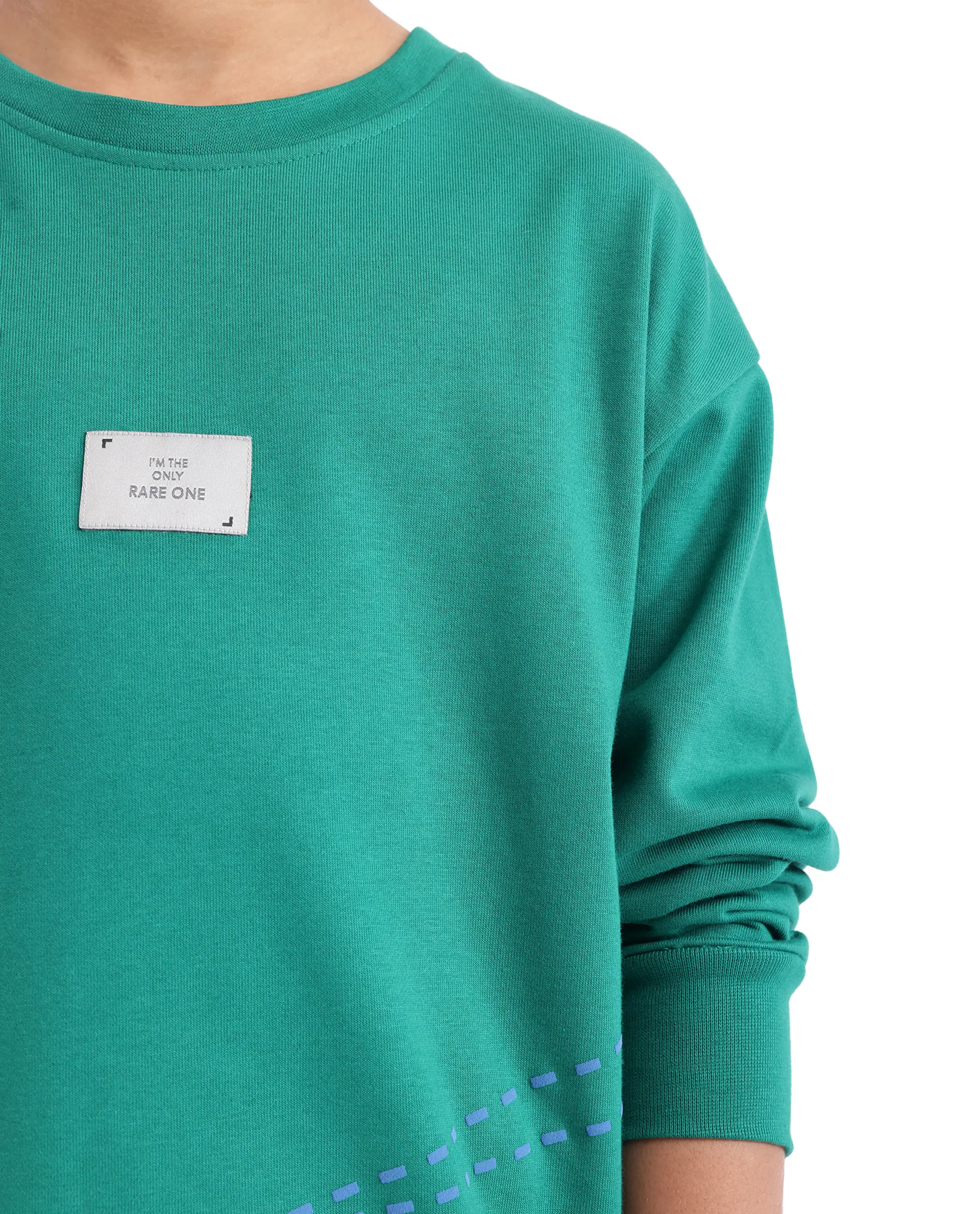 Rare Ones Kids Kole Green Cotton Poly Full Sleeve Hd Print Sweatshirt - Image 3