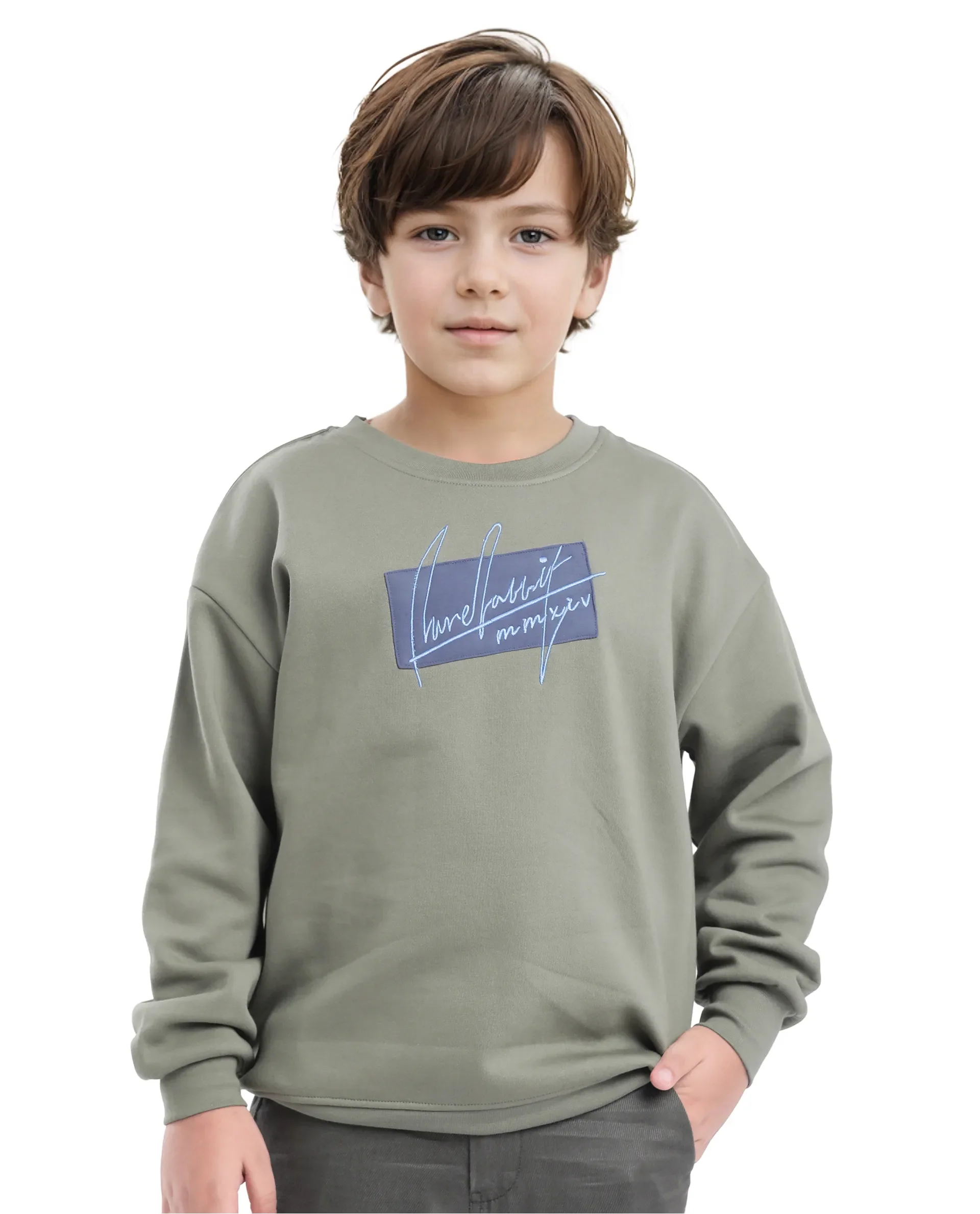 Rare Ones Kids Niret Dusky Green Cotton Poly Full Sleeve Embroidered Sweatshirt - Image 3