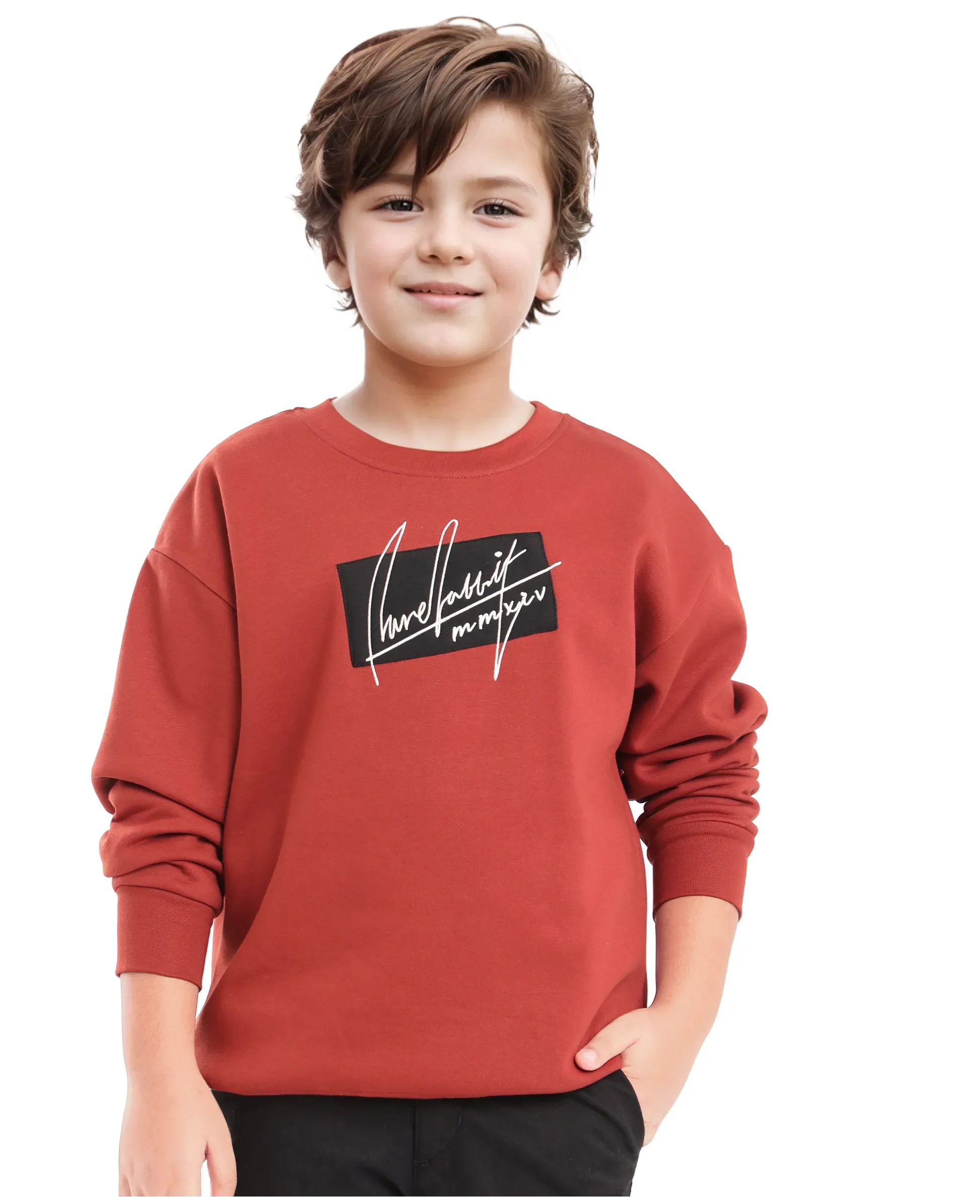 Rare Ones Kids Niret Rust Cotton Poly Full Sleeve Embroidered Sweatshirt - Image 4