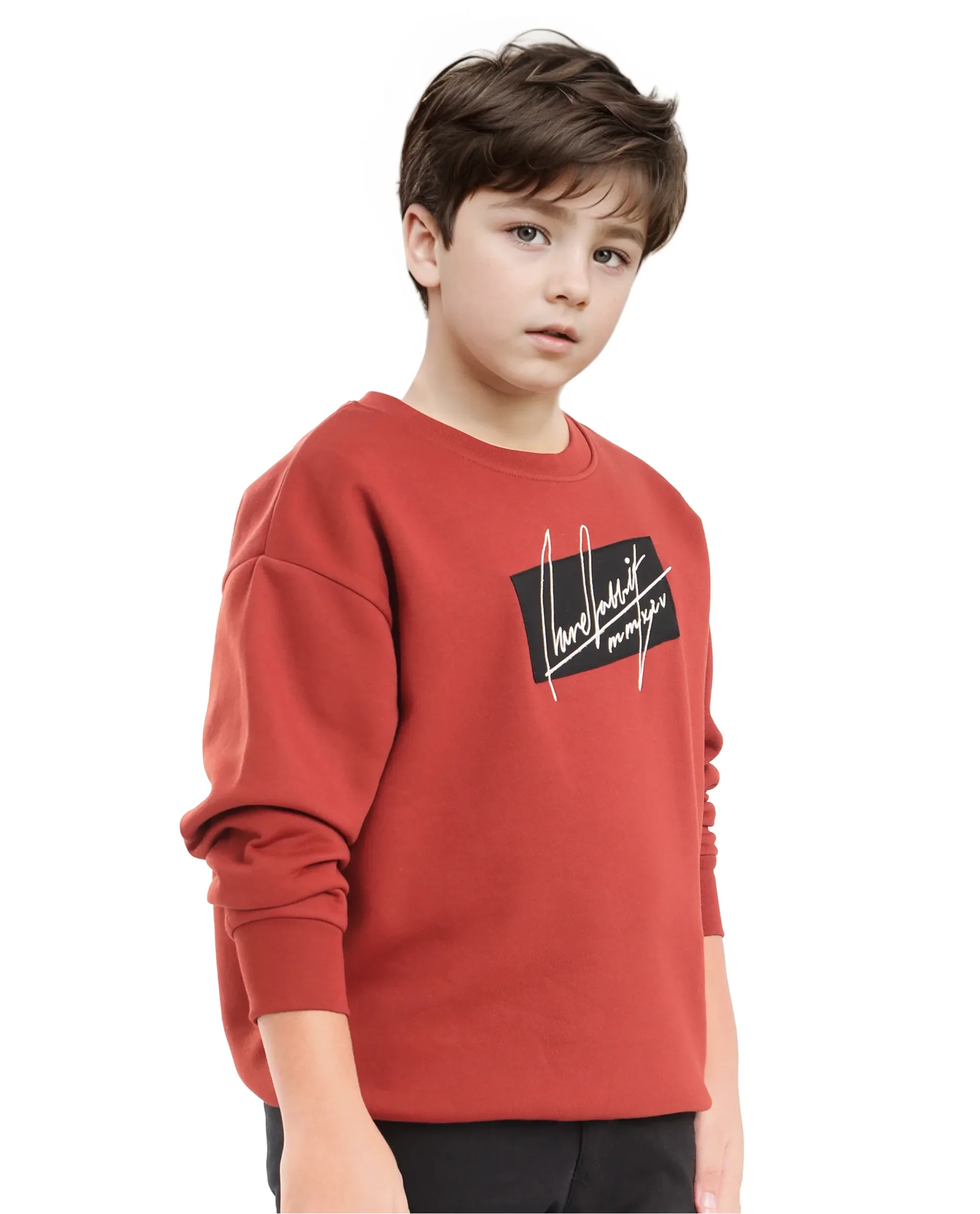 Rare Ones Kids Niret Rust Cotton Poly Full Sleeve Embroidered Sweatshirt - Image 5