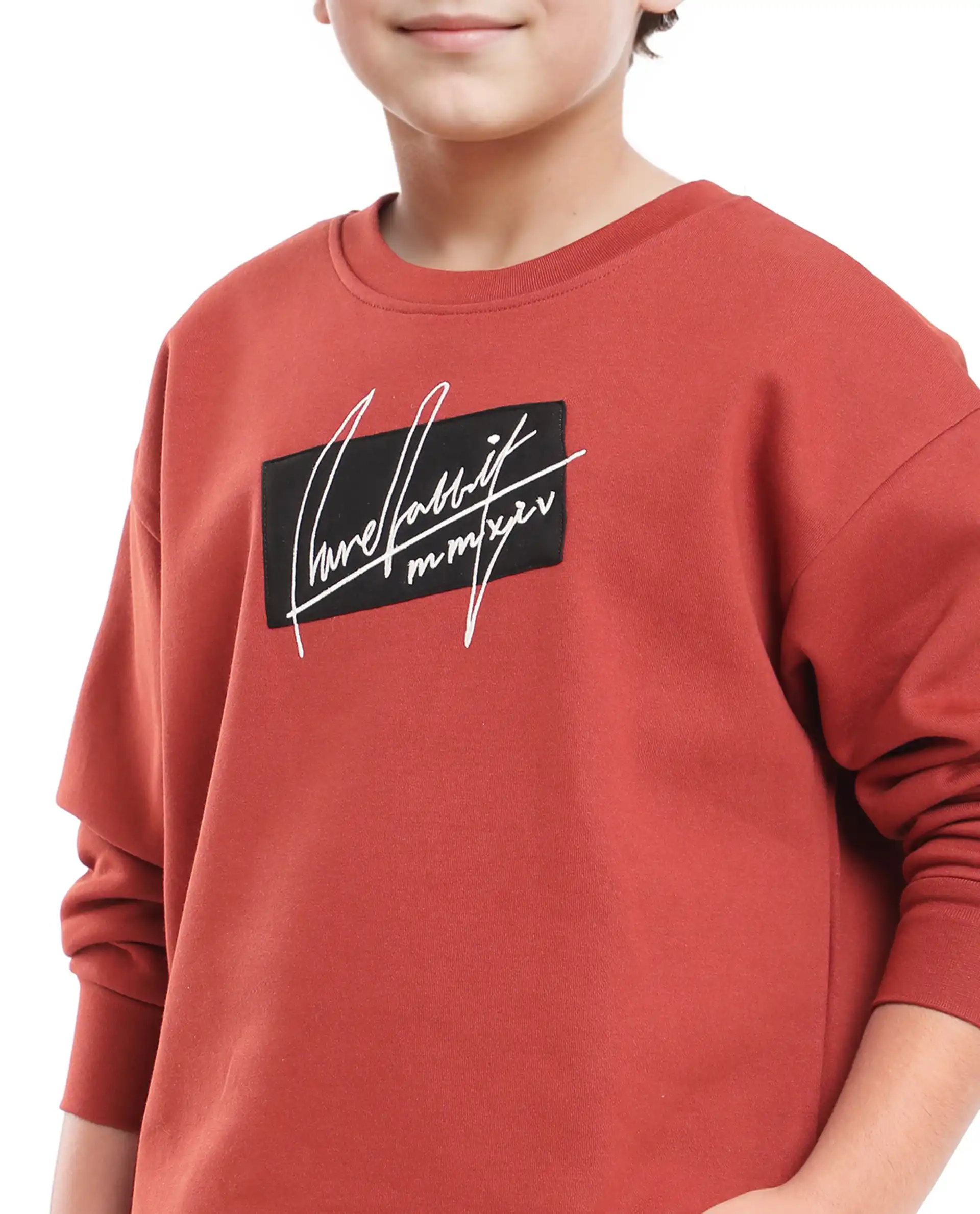 Rare Ones Kids Niret Rust Cotton Poly Full Sleeve Embroidered Sweatshirt - Image 6