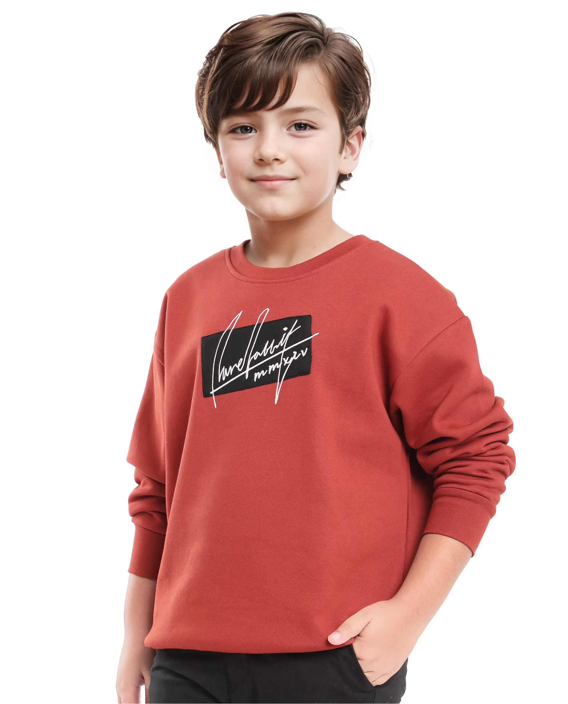 Rare Ones Kids Niret Rust Cotton Poly Full Sleeve Embroidered Sweatshirt - Image 7
