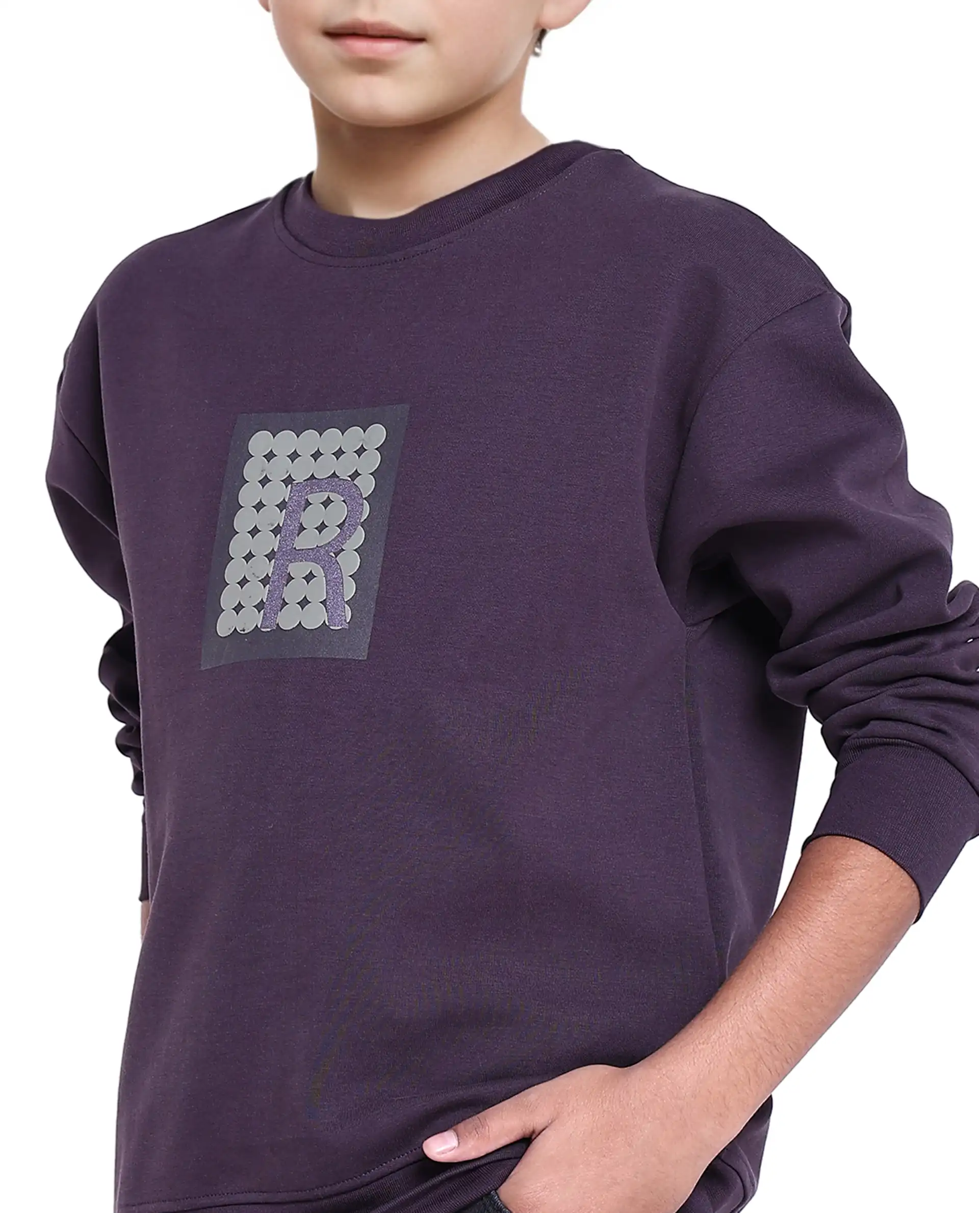Rare Ones Kids Poks Dark Purple Cotton Full Sleeve Hd Print And Discharge Print Sweatshirt - Image 4
