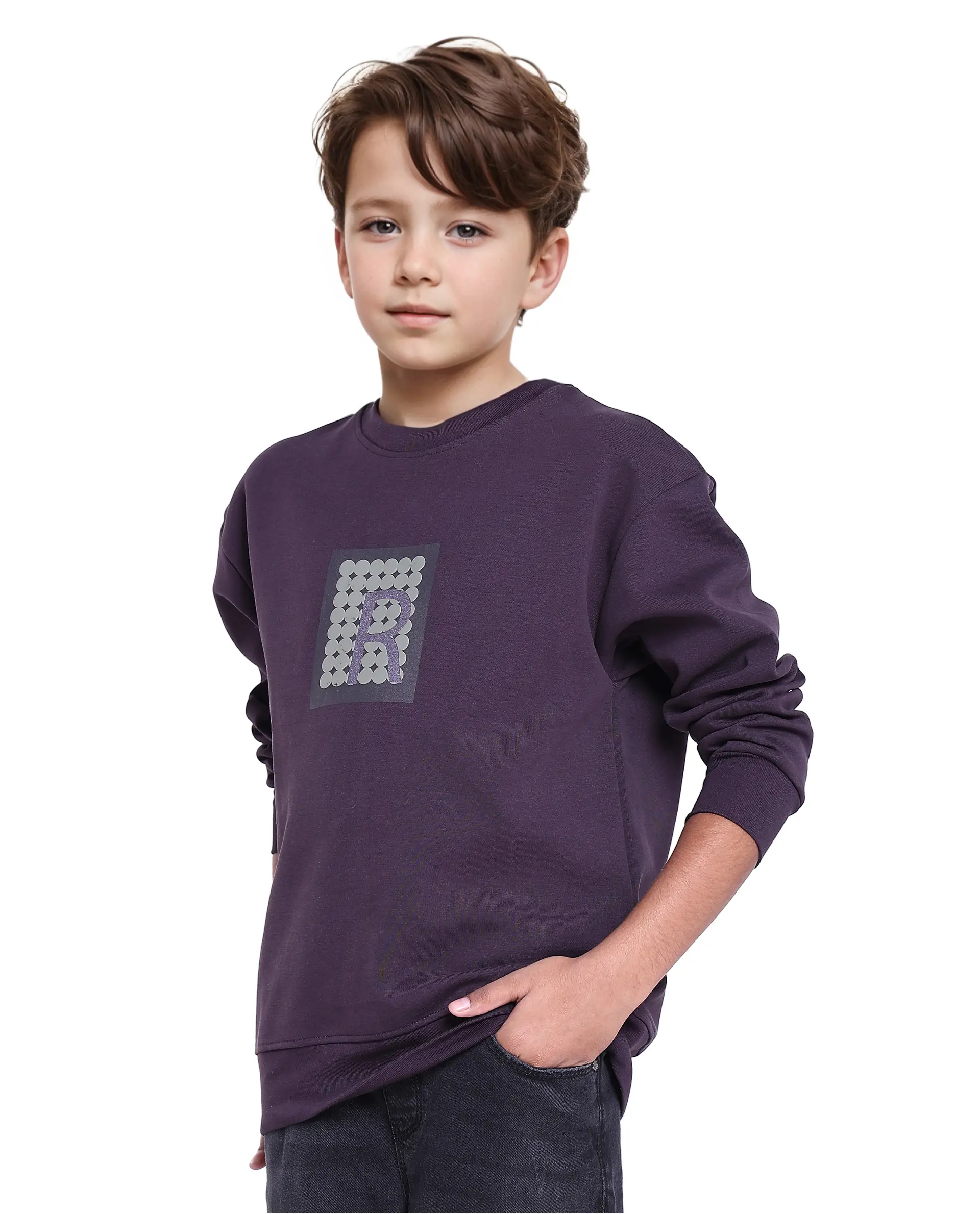 Rare Ones Kids Poks Dark Purple Cotton Full Sleeve Hd Print And Discharge Print Sweatshirt - Image 5