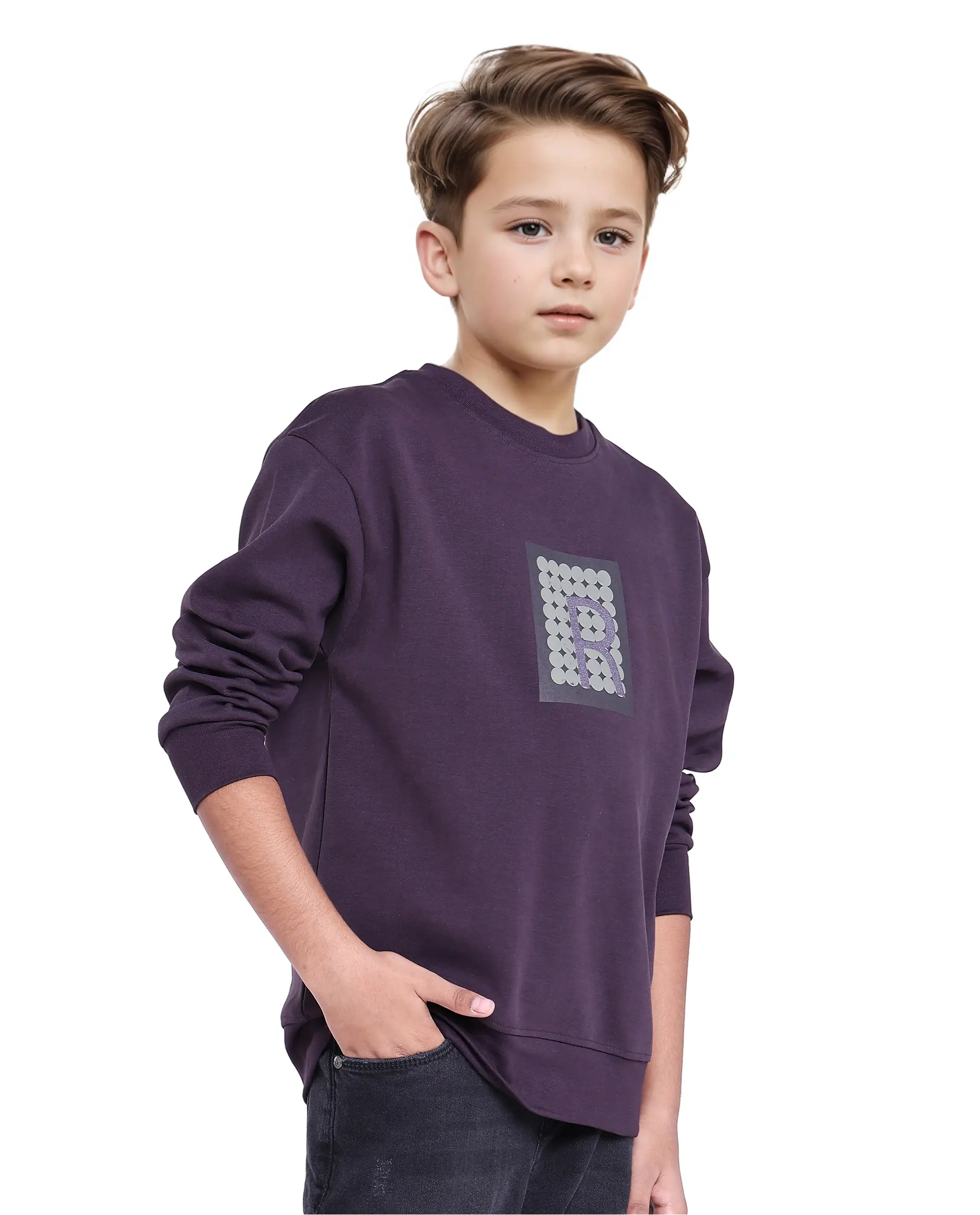 Rare Ones Kids Poks Dark Purple Cotton Full Sleeve Hd Print And Discharge Print Sweatshirt - Image 6