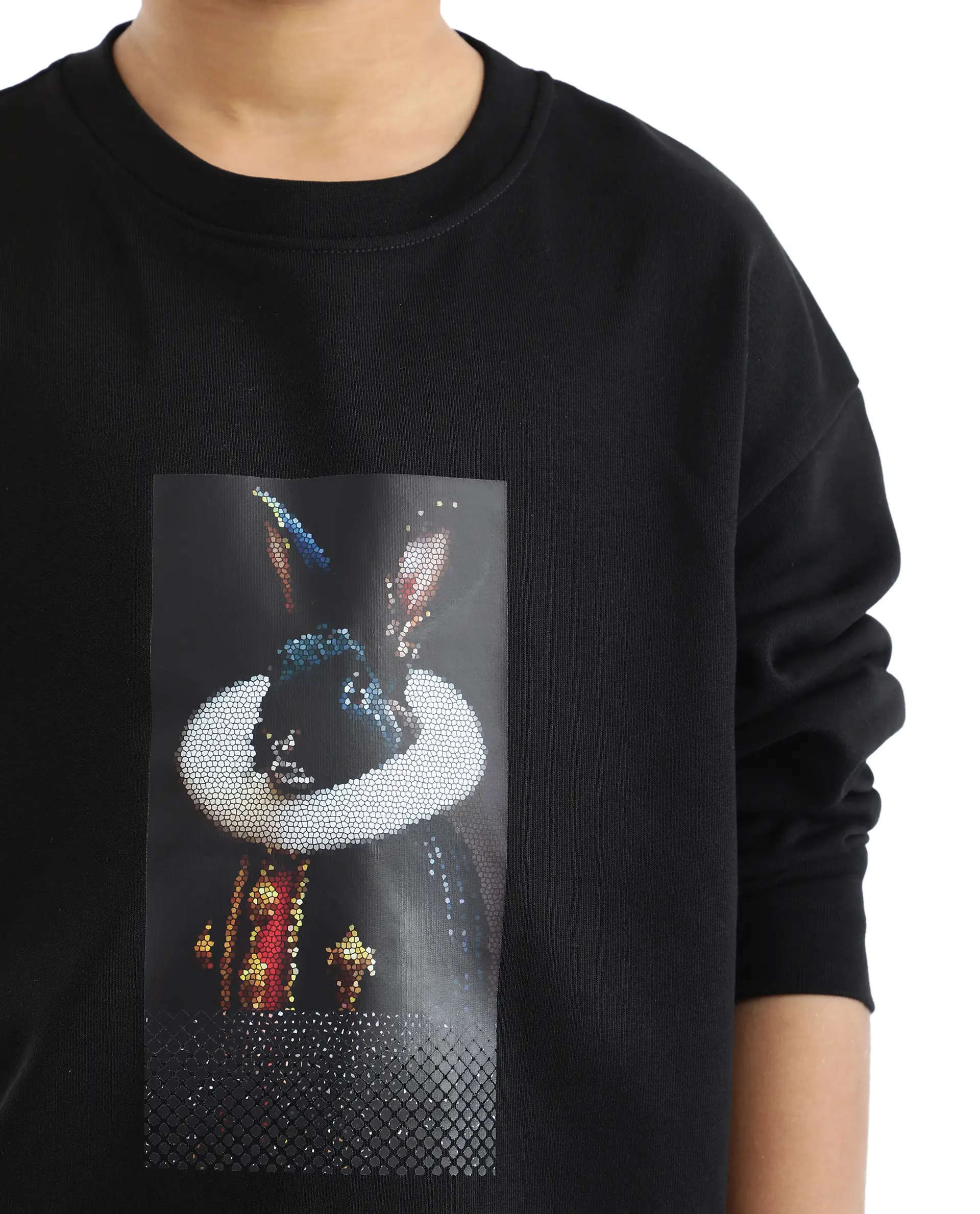 Rare Ones Kids Ribo Black Cotton Poly Full Sleeve Cmyk Print Sweatshirt - Image 3