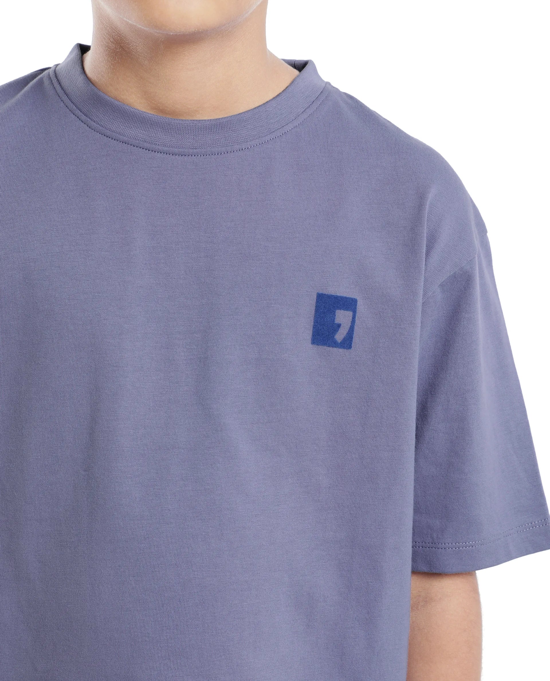 Rare Ones Kids Sudo Light Purple Cotton Graphic Printed Slip-On Oversized Fit T-Shirt - Image 5