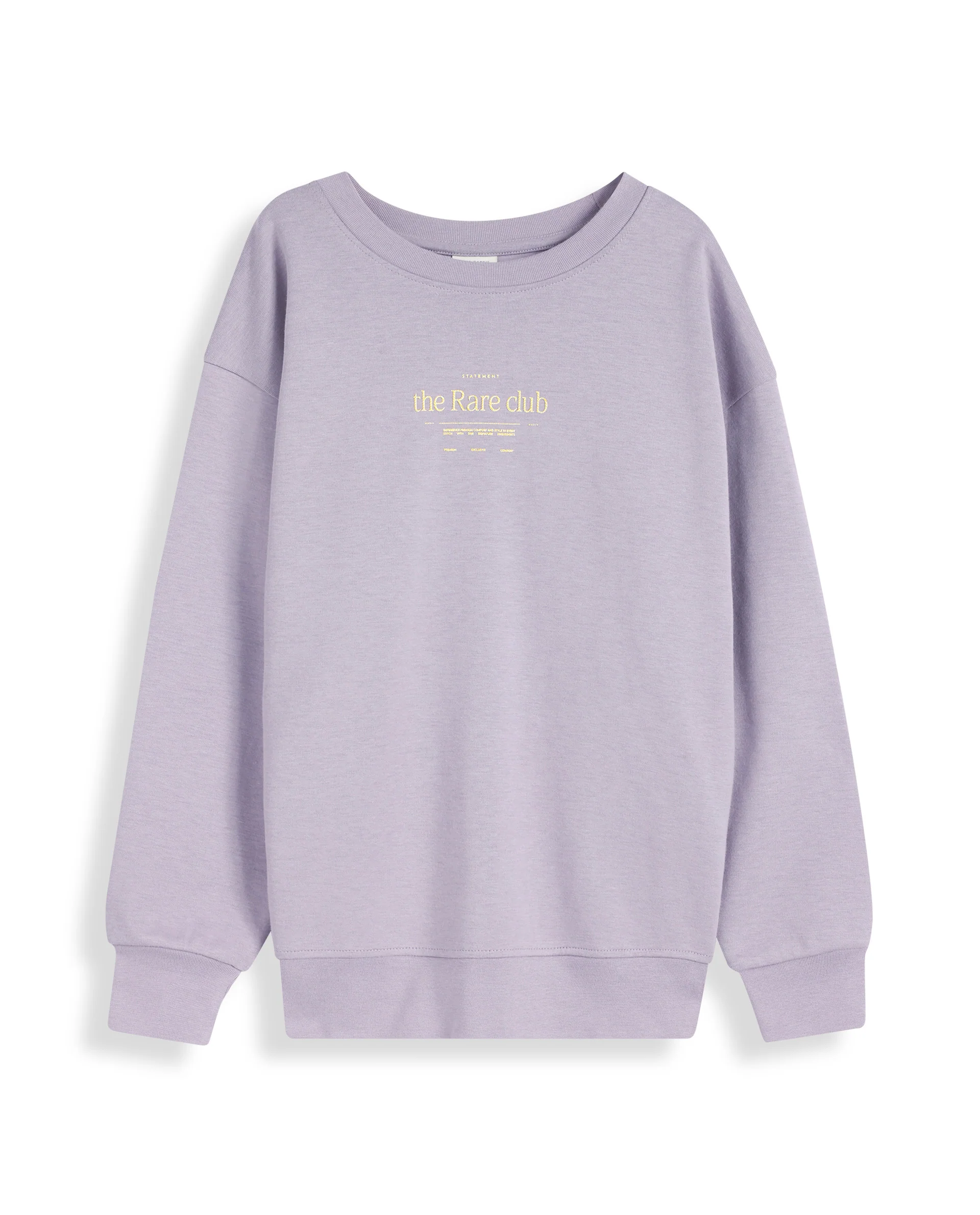 Rare Ones Kids Tamu Dusky Purple Cotton Full Sleeve Crew Neck Hd Print With Twill Texture Sweatshirt - Image 2