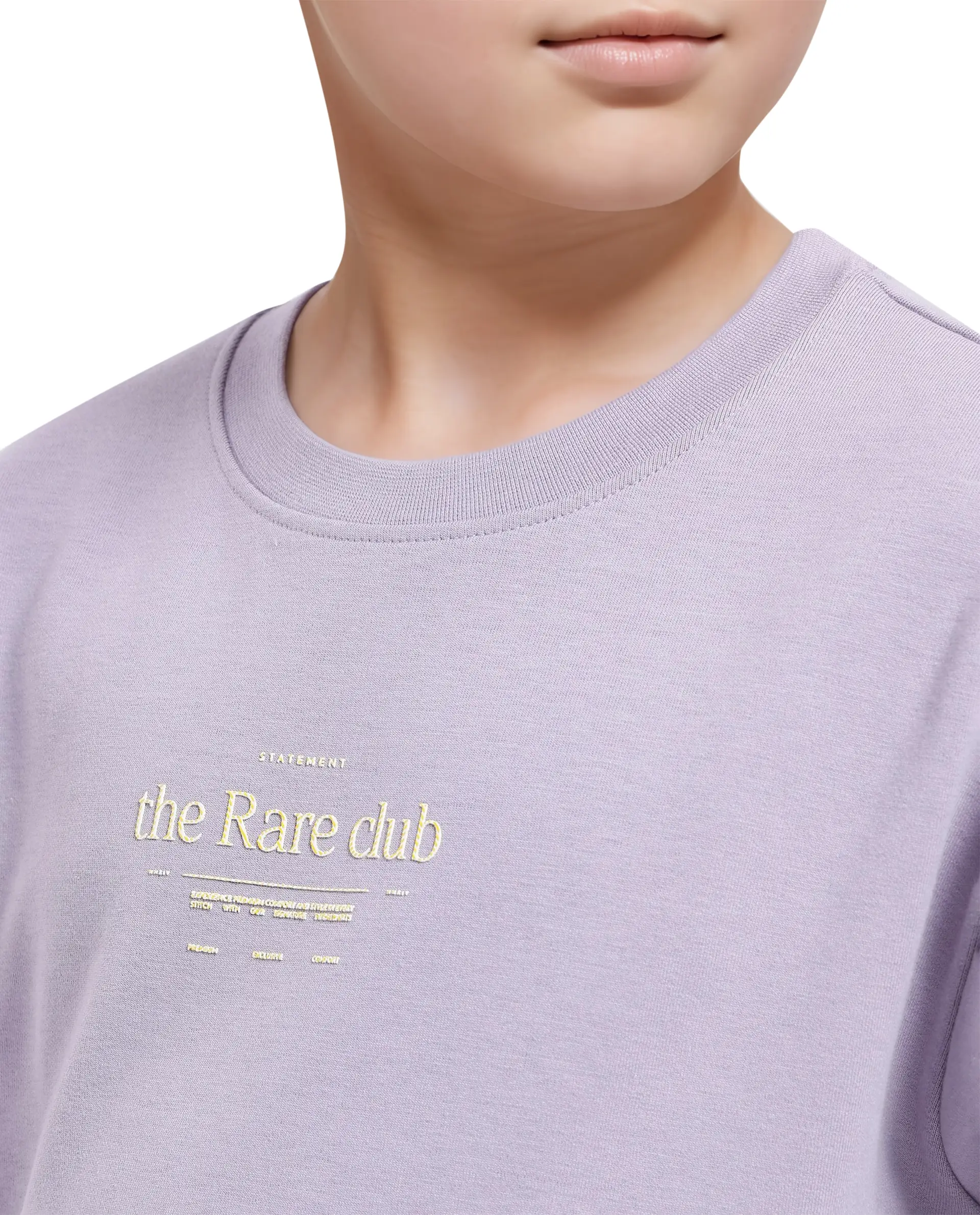 Rare Ones Kids Tamu Dusky Purple Cotton Full Sleeve Crew Neck Hd Print With Twill Texture Sweatshirt - Image 5