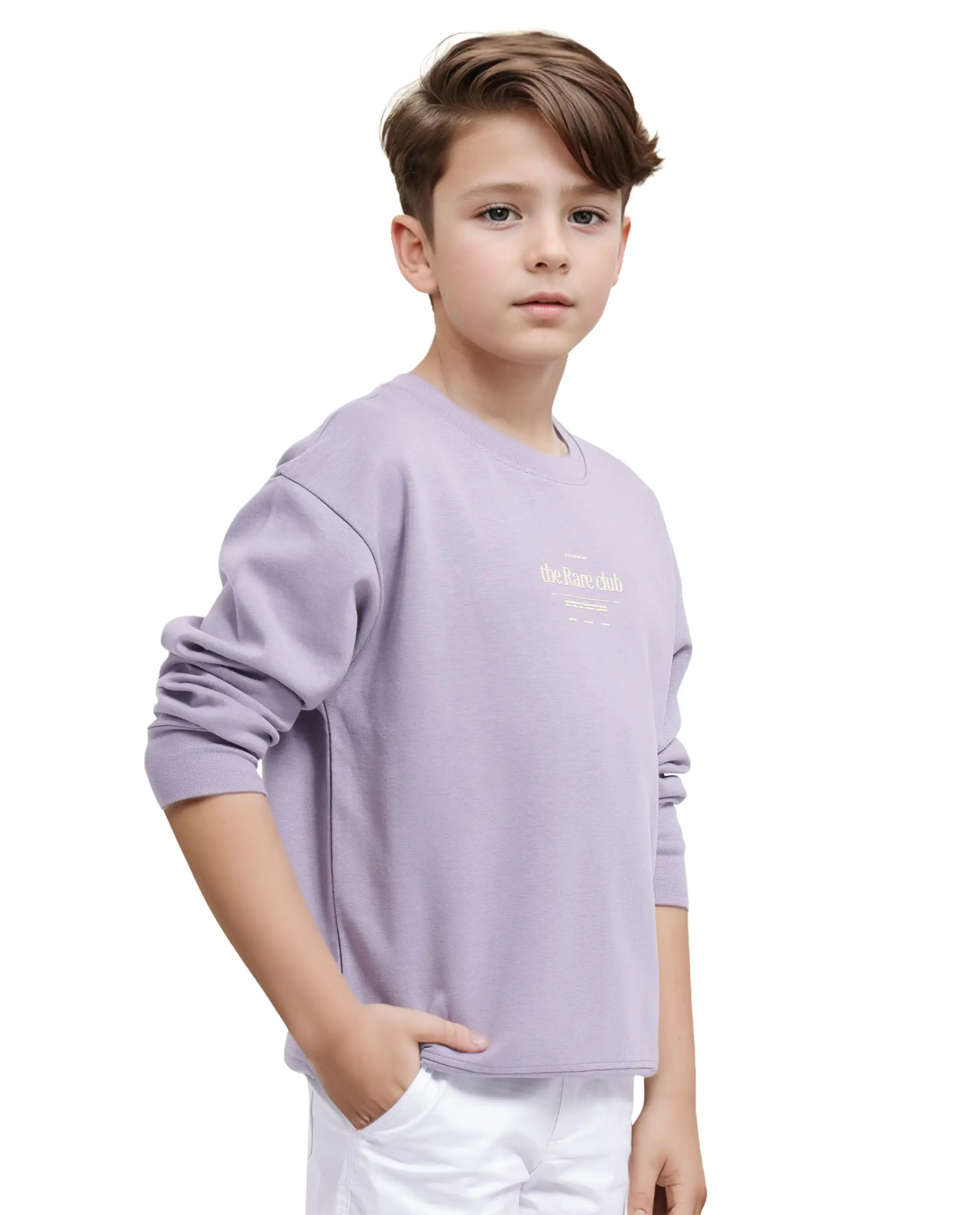 Rare Ones Kids Tamu Dusky Purple Cotton Full Sleeve Crew Neck Hd Print With Twill Texture Sweatshirt - Image 8