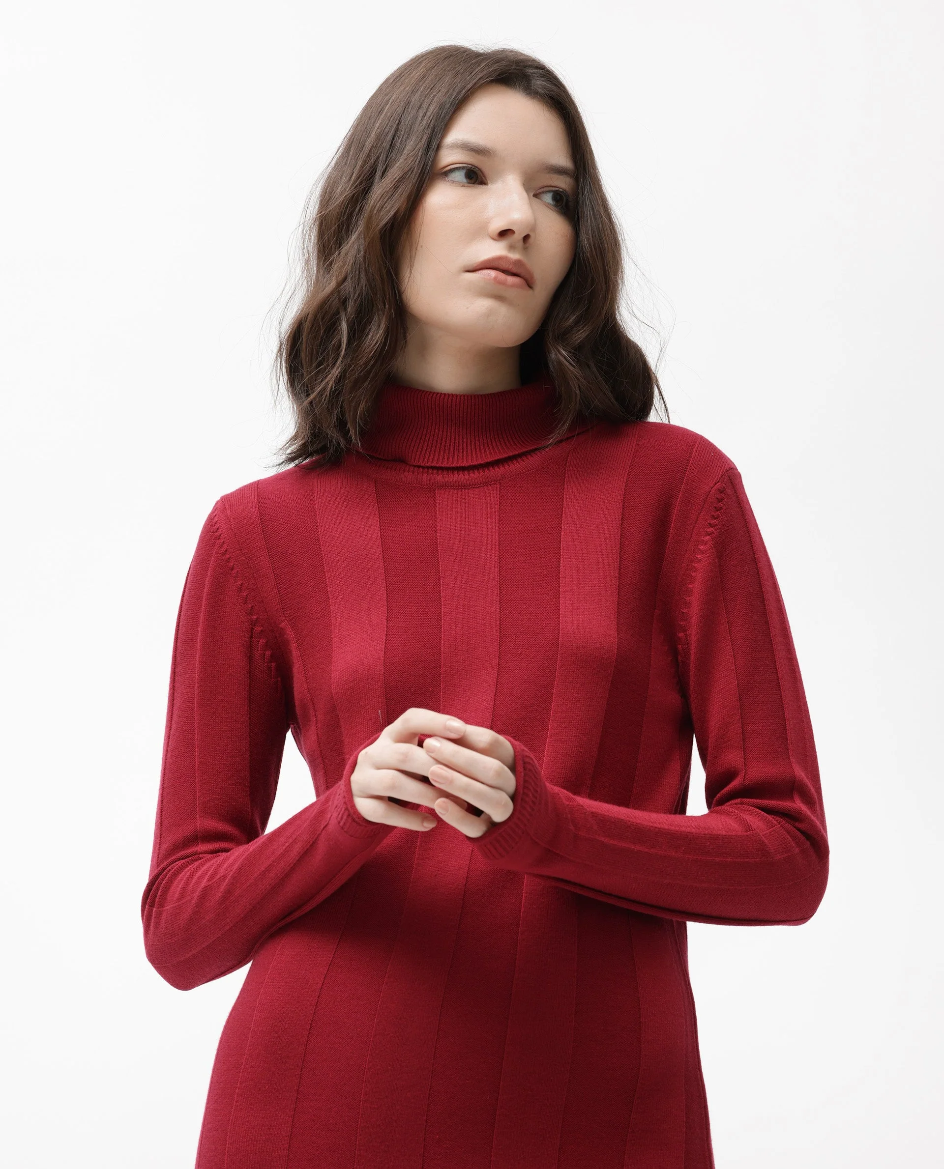 Rareism Women's Knitka Red Cotton Turtle Neck Striped Knee Length Regular Fit Sweater - Image 2