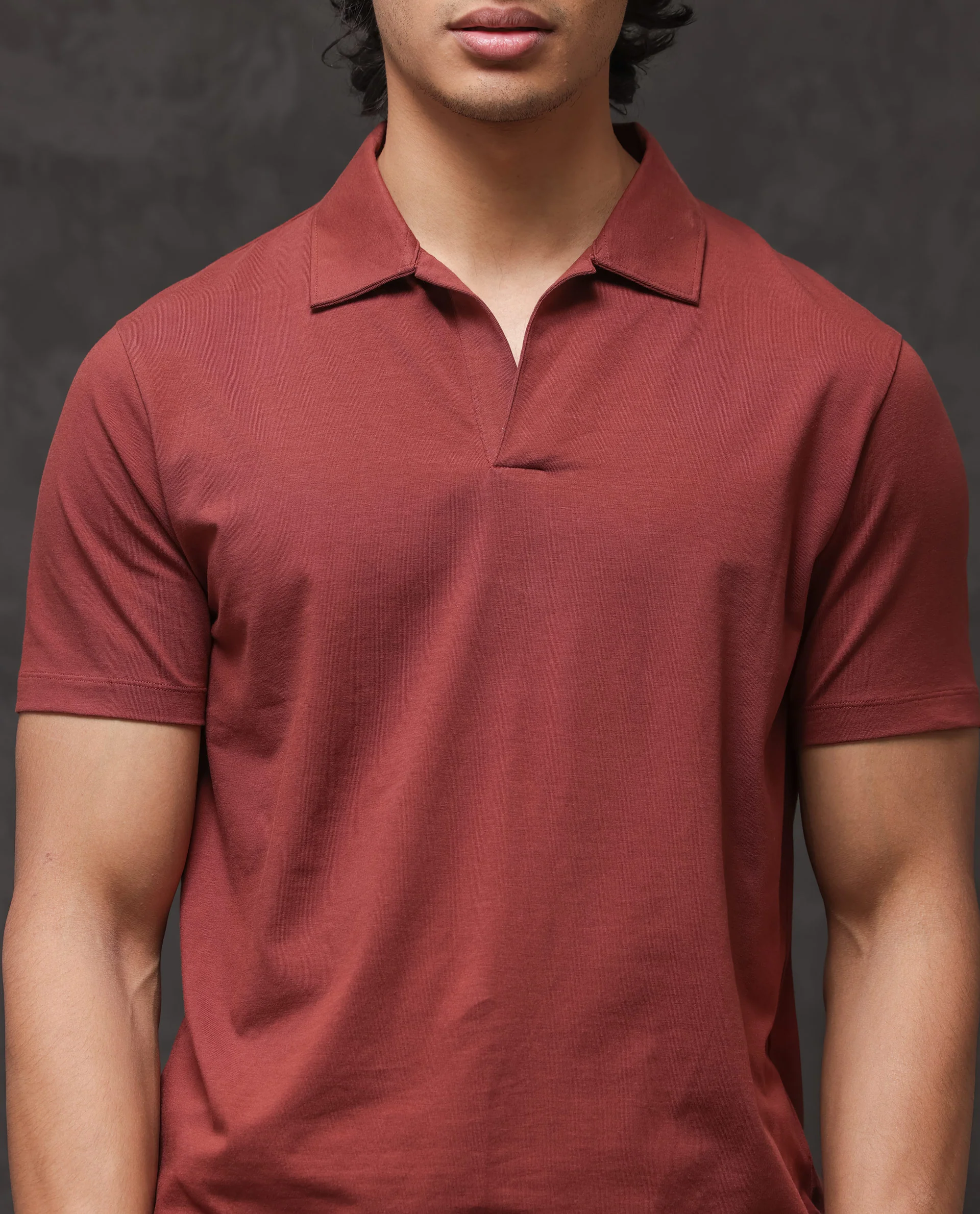 Rare Rabbit Men's Krib 2 Dusky Maroon Cotton Blend Plain Regular Fit Half Sleeve Polo - Image 5