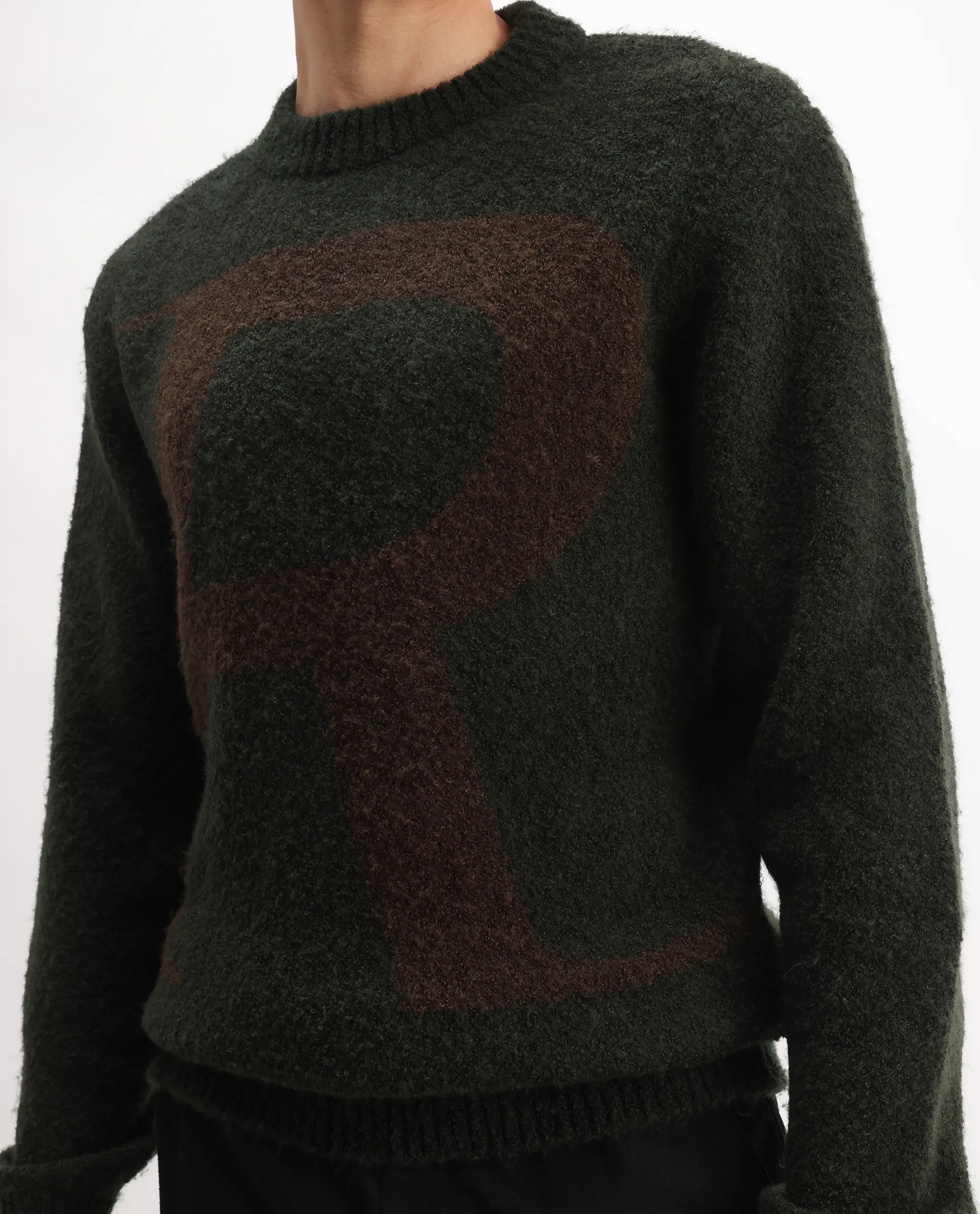 Rare Rabbit Men's Lang Dark Olive Nylon Printed Regular Fit Full Sleeve Crew Neck Sweater - Image 3