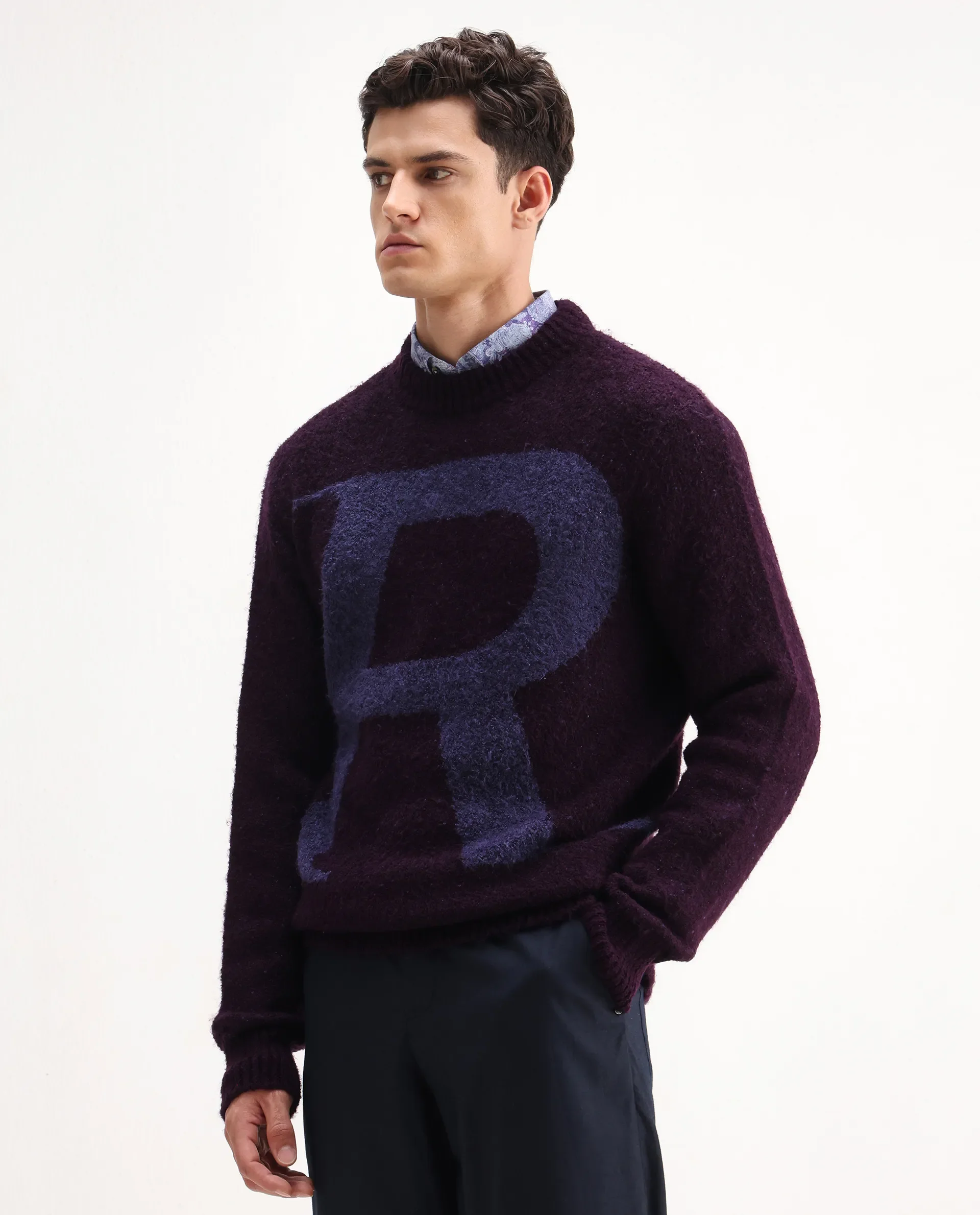 Rare Rabbit Men's Lang Purple Nylon Printed Regular Fit Full Sleeve Crew Neck Sweater - Image 2