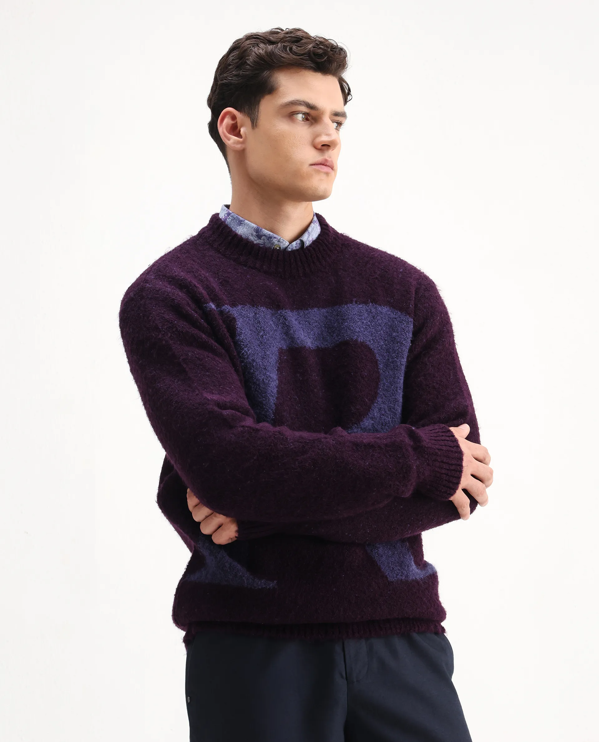 Rare Rabbit Men's Lang Purple Nylon Printed Regular Fit Full Sleeve Crew Neck Sweater - Image 4