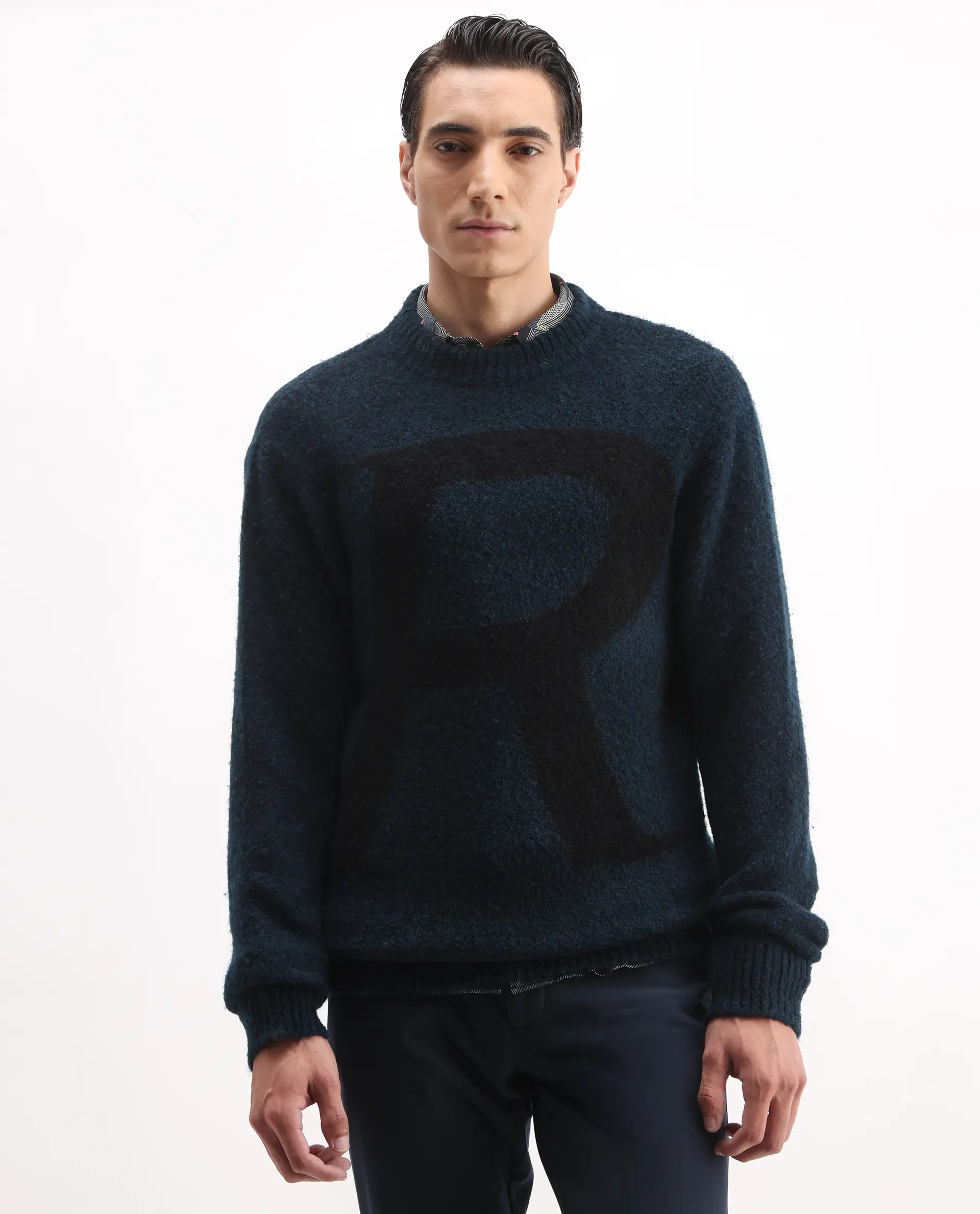 Rare Rabbit Men's Lang Teal Nylon Printed Regular Fit Full Sleeve Crew Neck Sweater - Image 4