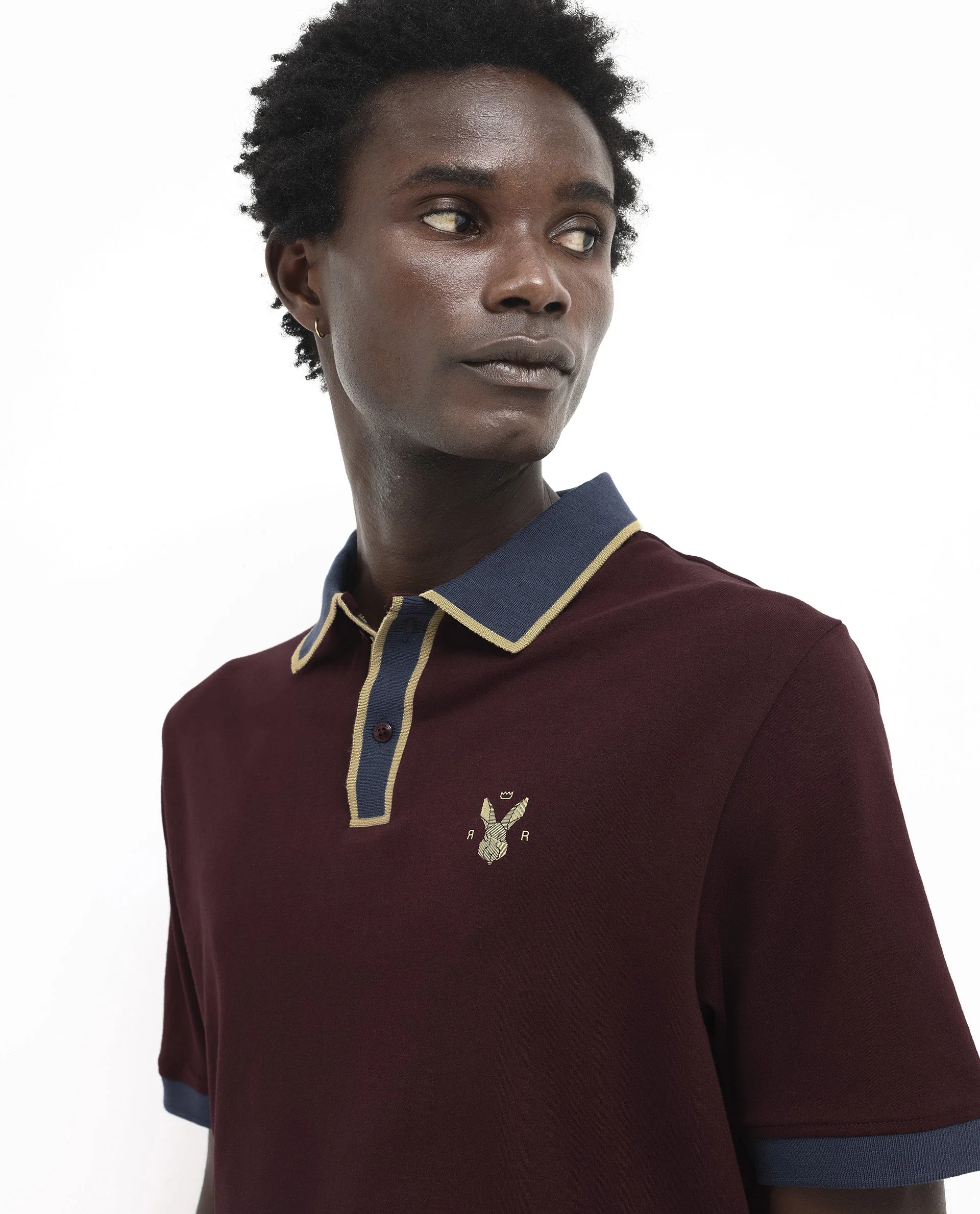 Rare Rabbit Men's Lark Dark Maroon Cotton Plain Regular Fit Half Sleeve Polo - Image 6