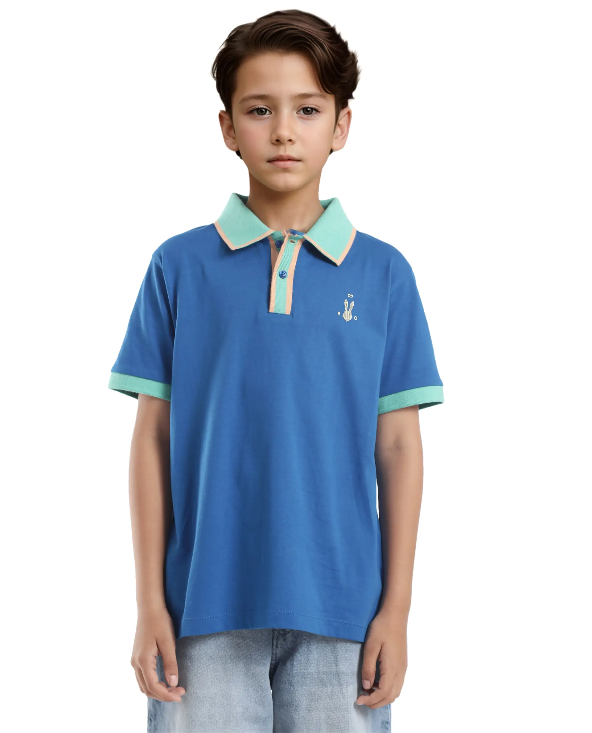Rare Ones Kids Larn Blue Cotton Half Sleeves Contrasting Collar Regular Fit Solid Polo - Image 3