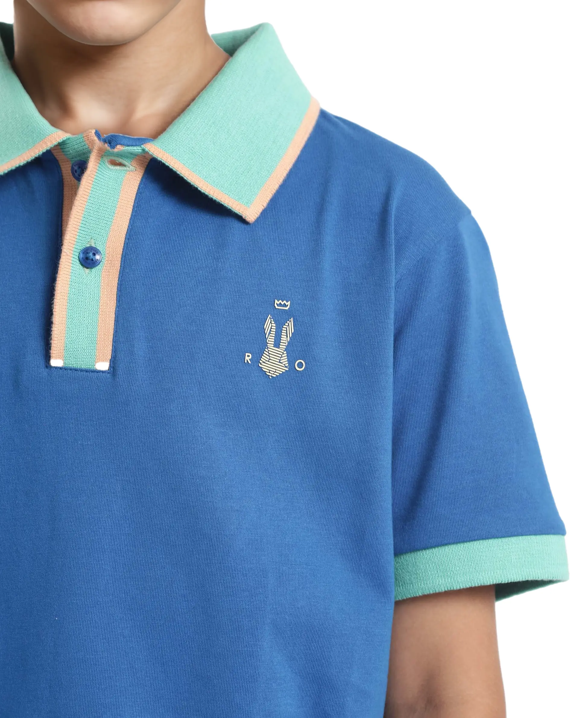Rare Ones Kids Larn Blue Cotton Half Sleeves Contrasting Collar Regular Fit Solid Polo - Image 5