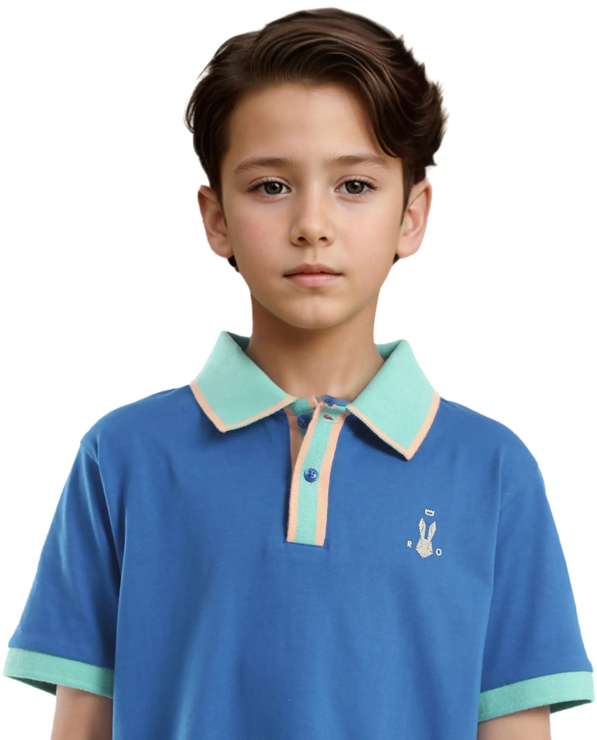 Rare Ones Kids Larn Blue Cotton Half Sleeves Contrasting Collar Regular Fit Solid Polo - Image 6