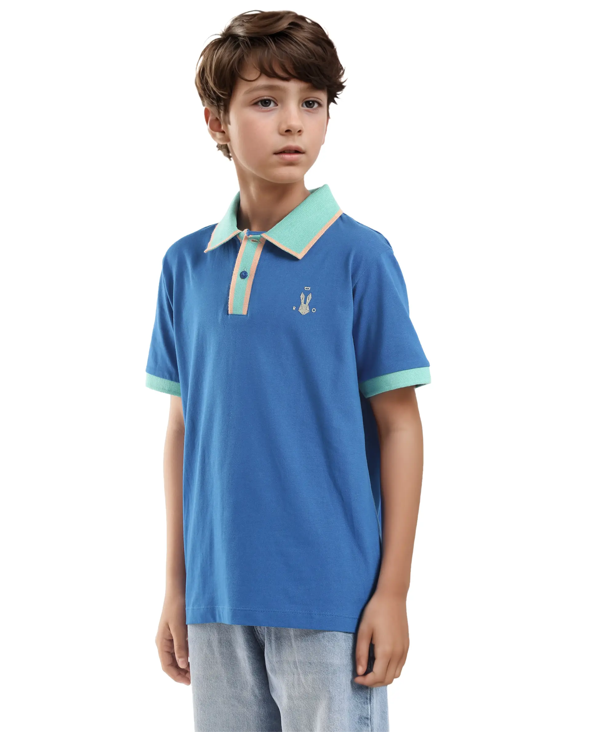 Rare Ones Kids Larn Blue Cotton Half Sleeves Contrasting Collar Regular Fit Solid Polo - Image 7