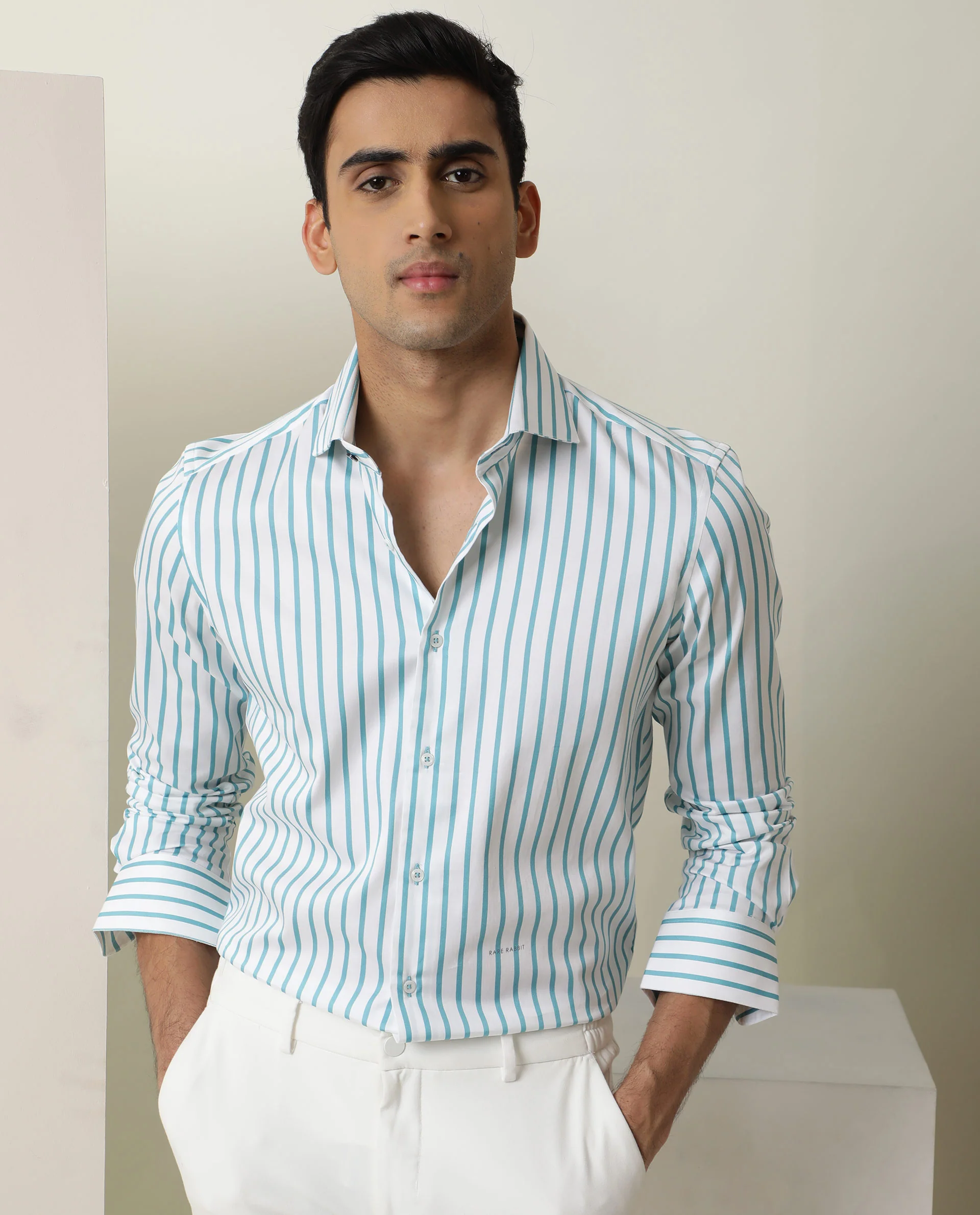 Rare Rabbit Men's Lobo Light Green Cotton Striped Print Regular Fit Full Sleeve Collared Shirt - Image 6