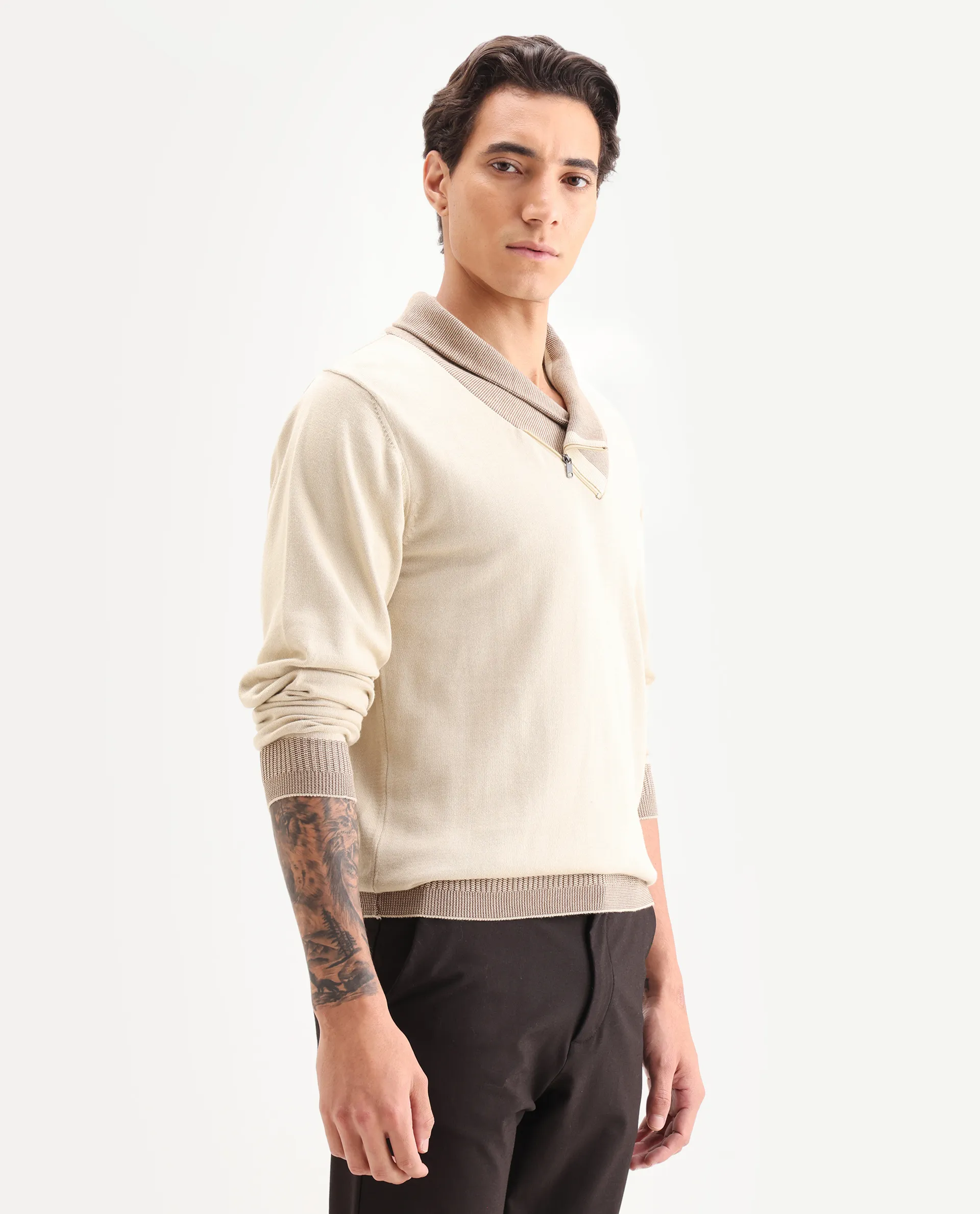 Rare Rabbit Men's Lyzo Beige Cotton Plain Regular Fit Full Sleeve Cowl Neck Sweater - Image 6