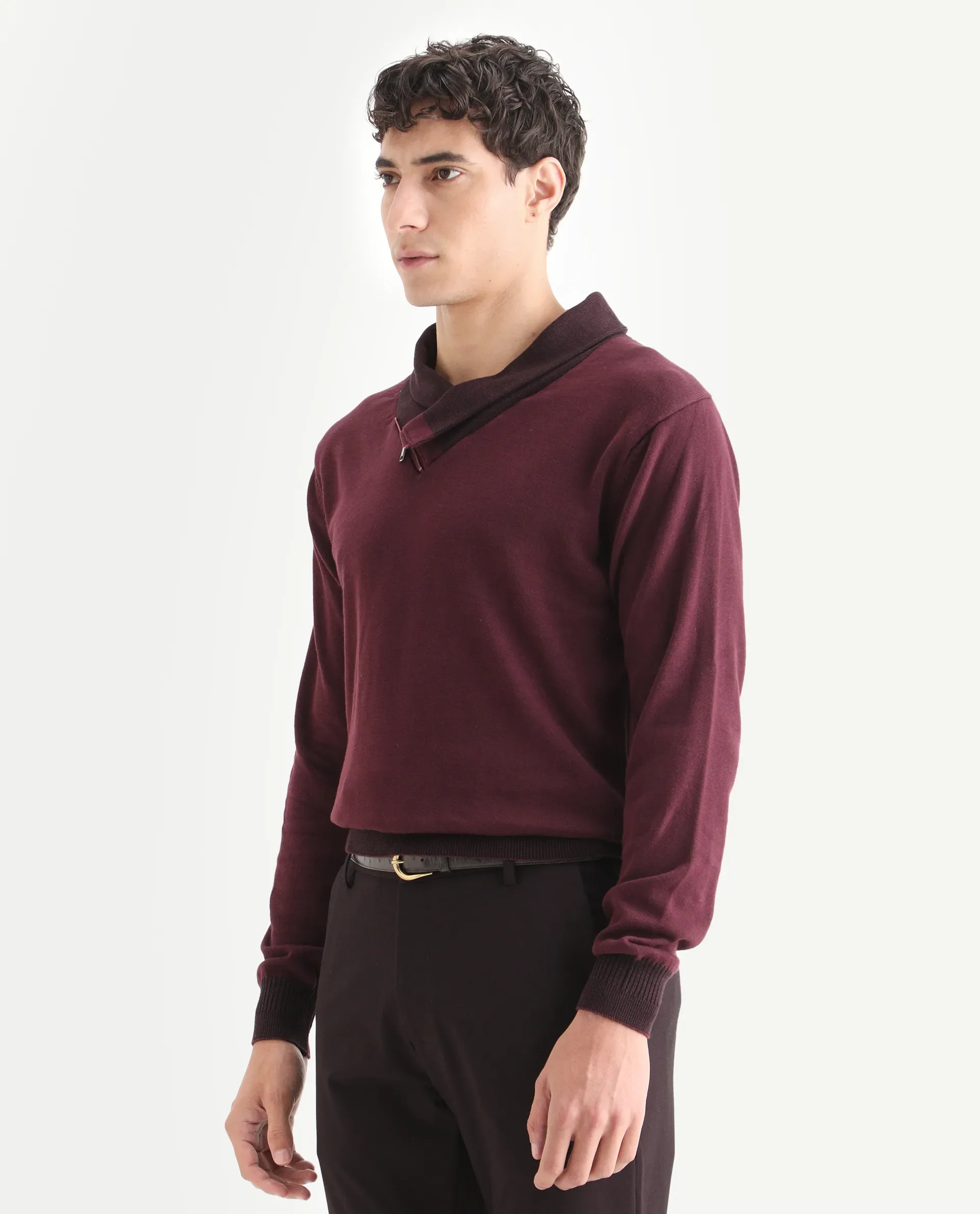 Rare Rabbit Men's Lyzo - Maroon Cotton Plain Regular Fit Full Sleeve Cowl Neck Sweater - Image 4