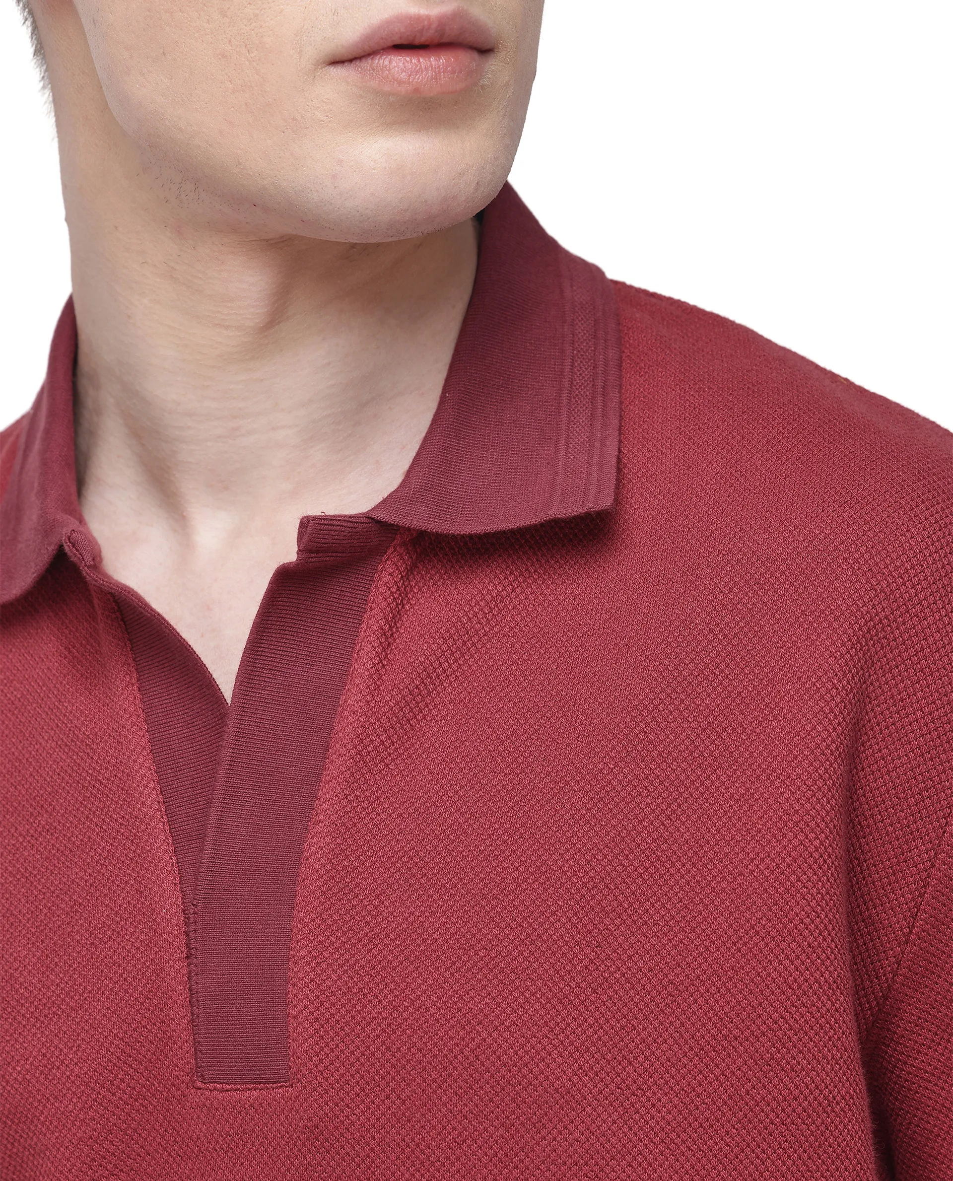Rare Rabbit Men's Marcelon Red Cotton Blend Jacquard Regular Fit Half Sleeve Polo - Image 2