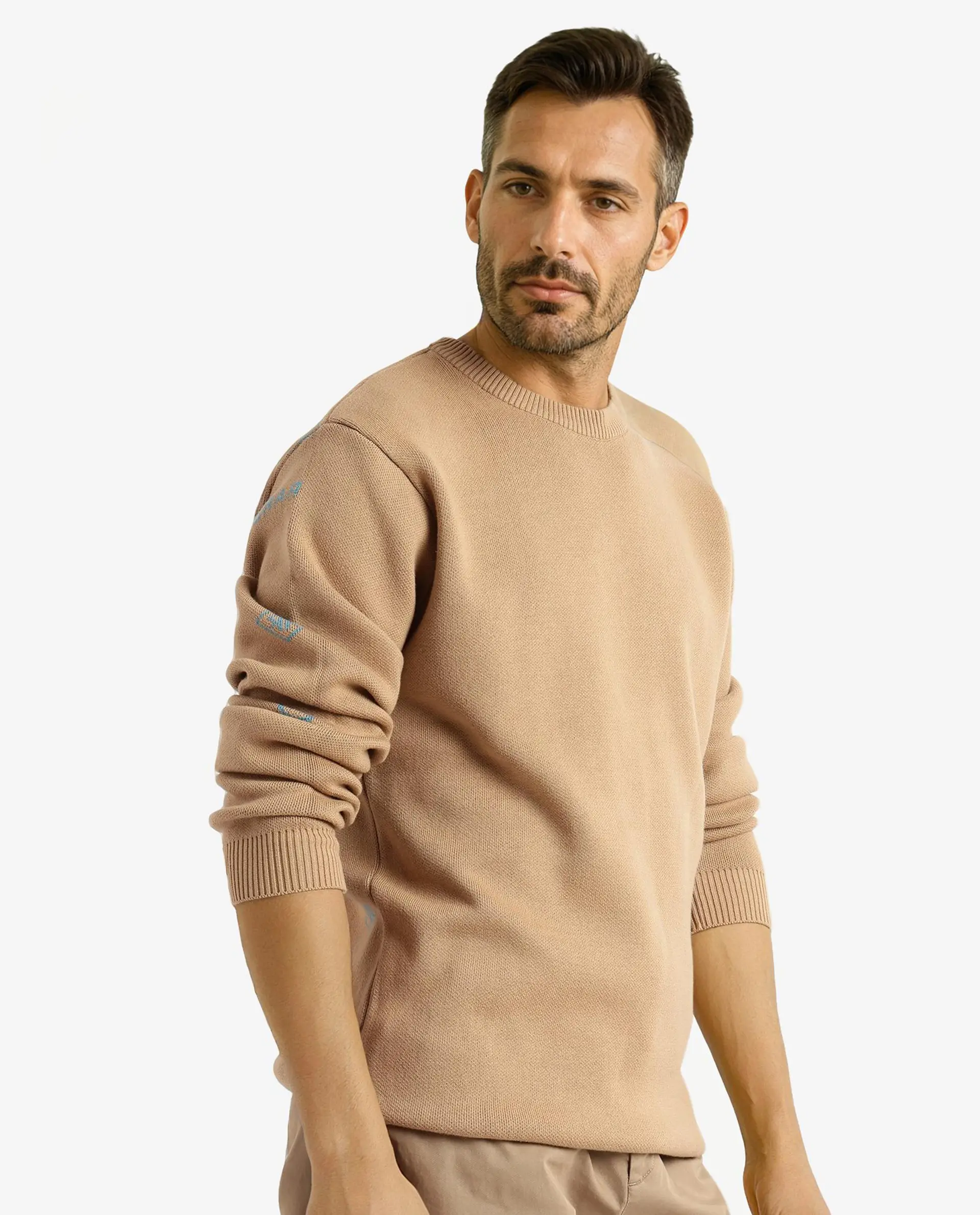 Rare Rabbit Men's Mario Beige Cotton Monogram Print Regular Fit Full Sleeve Crew Neck Sweater - Image 6